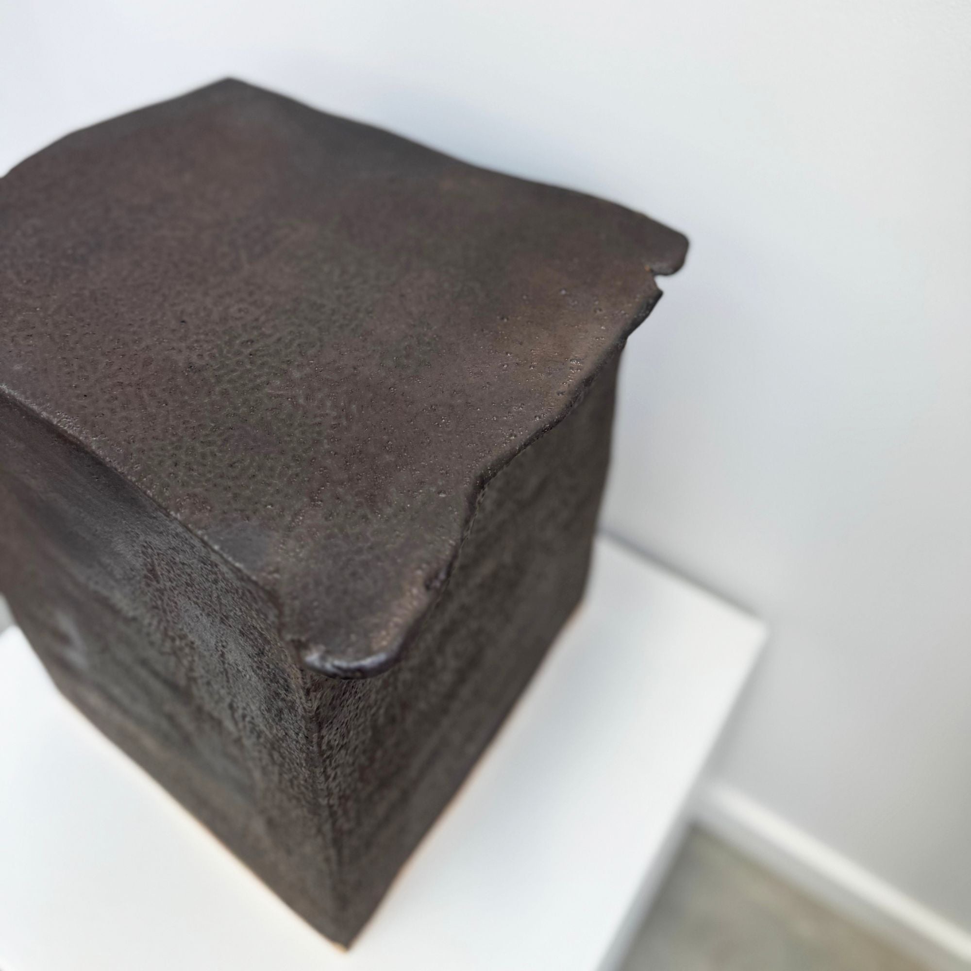 Pascale-Zintzen-dark-s-appoint