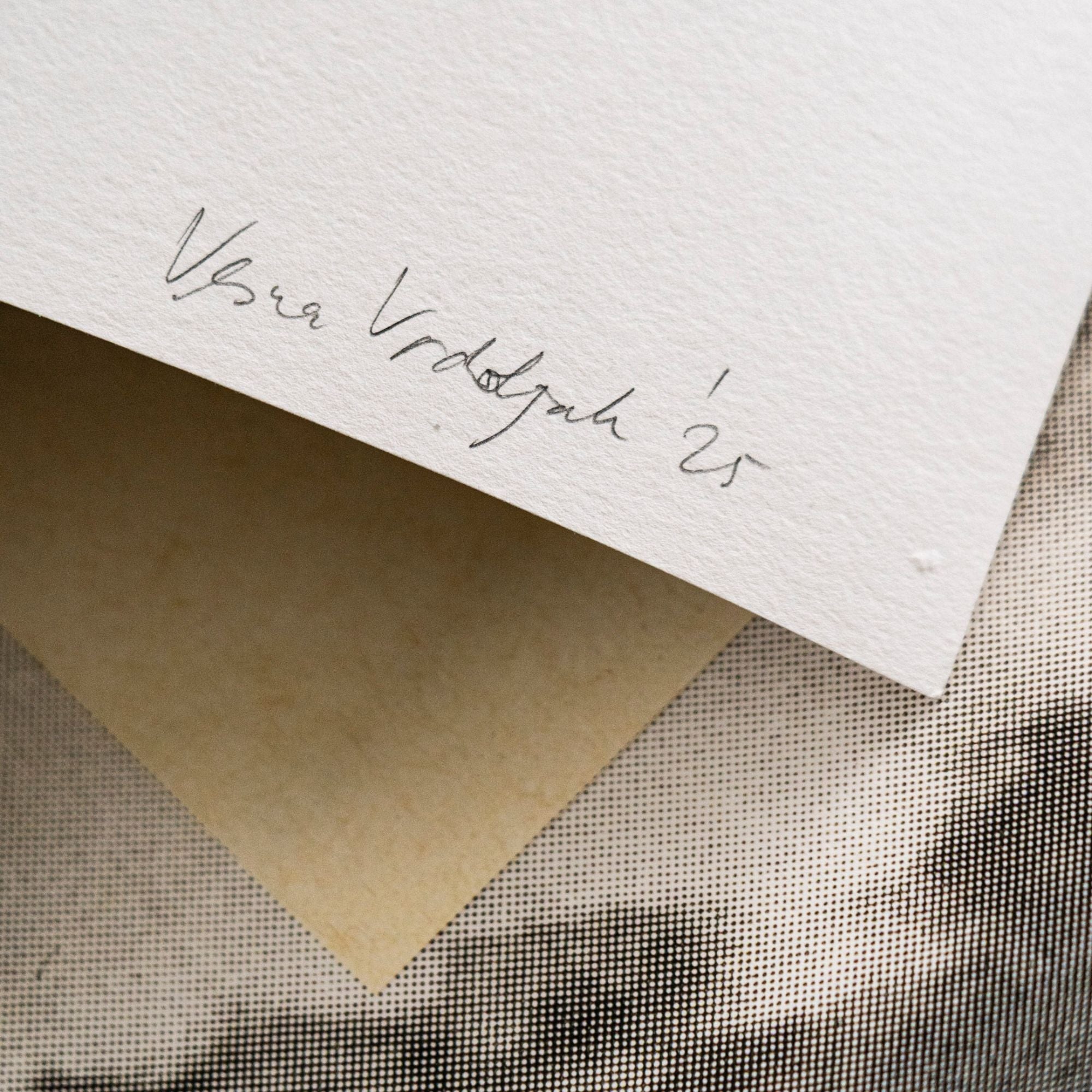 Paperwhite With Dot, par Vesna Vrdoljak