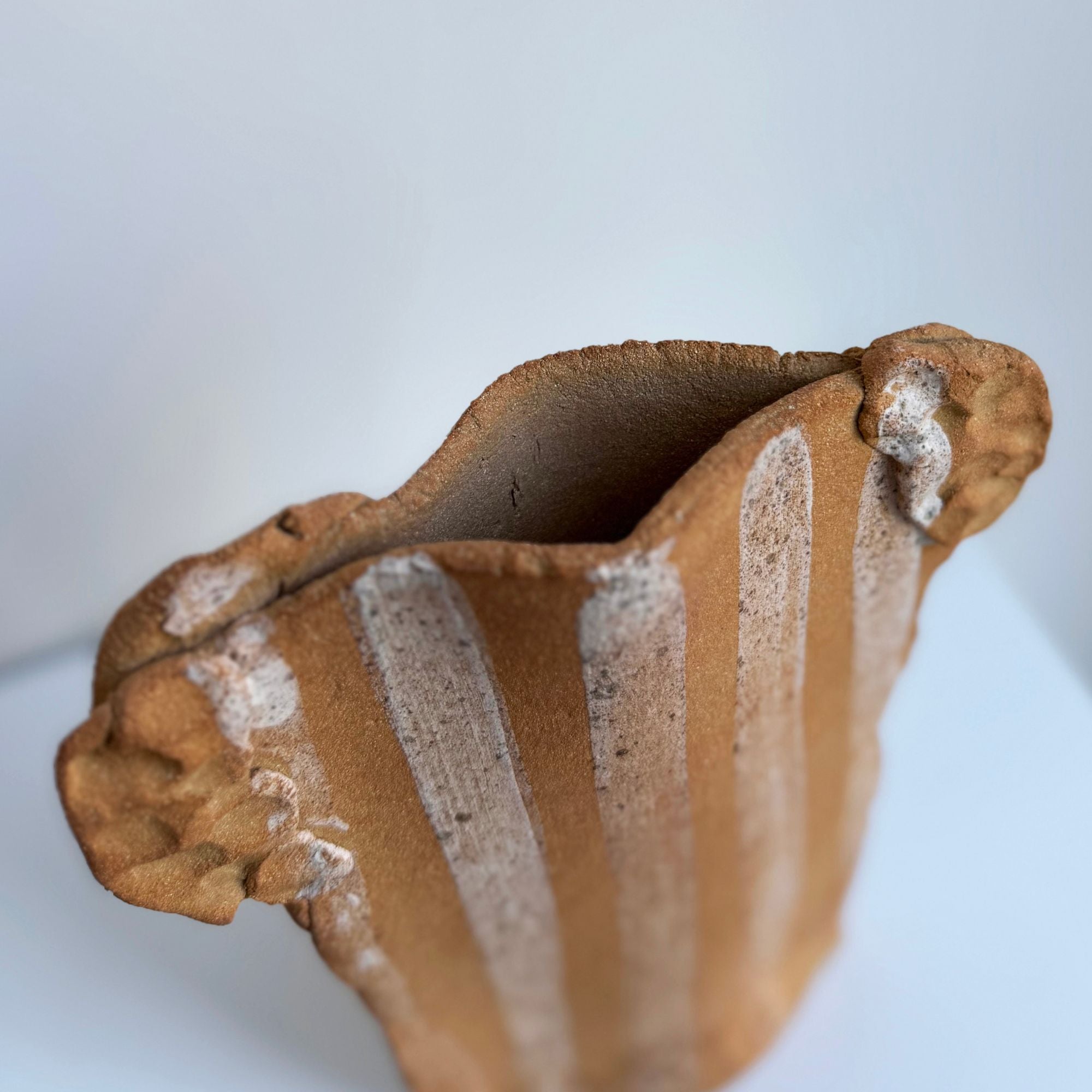 asterisque-hoc08-focus