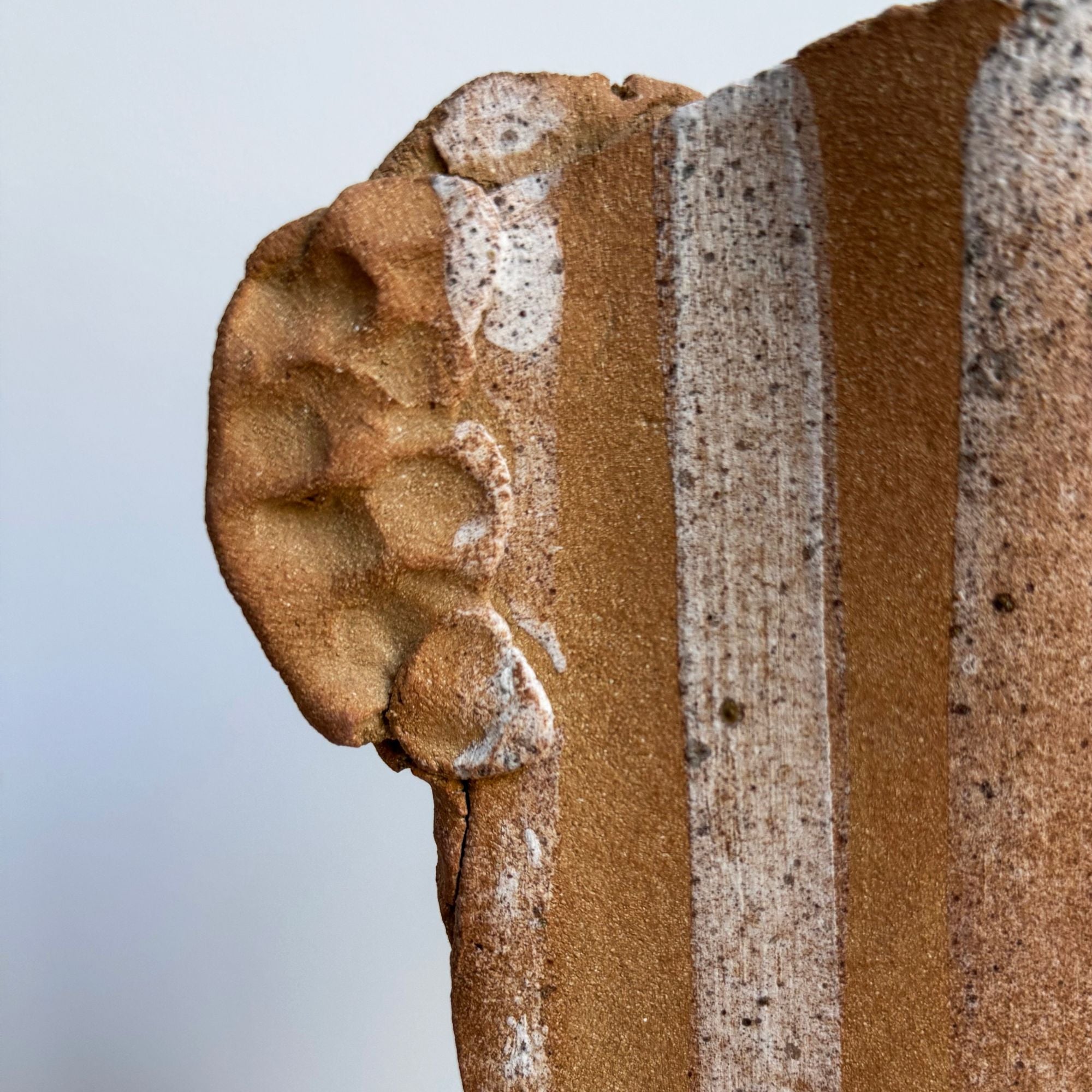 asterisque-hoc08-matière