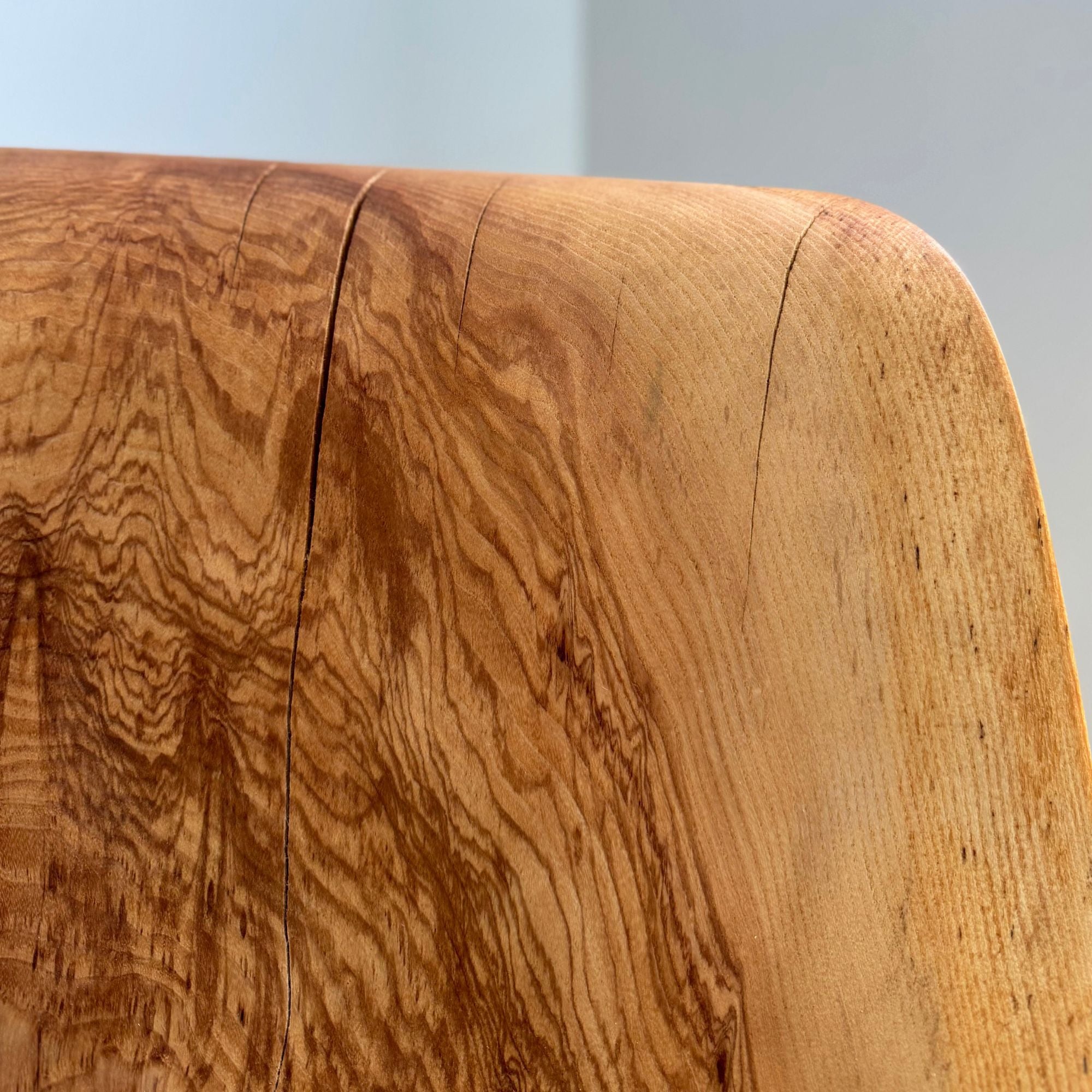 camille-tan-adulto-siege