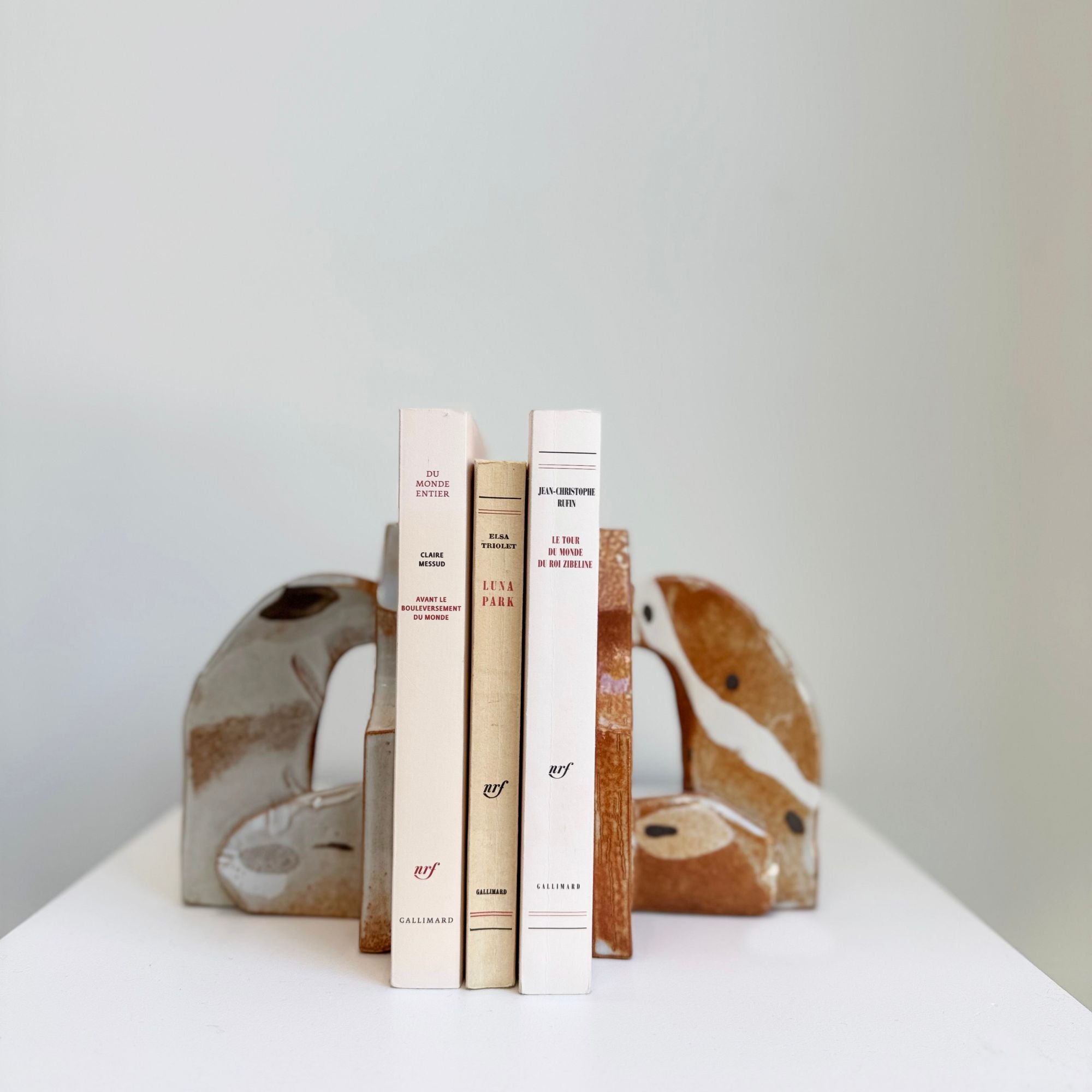 caroline-cutaia-serre-livres-1-ambiance
