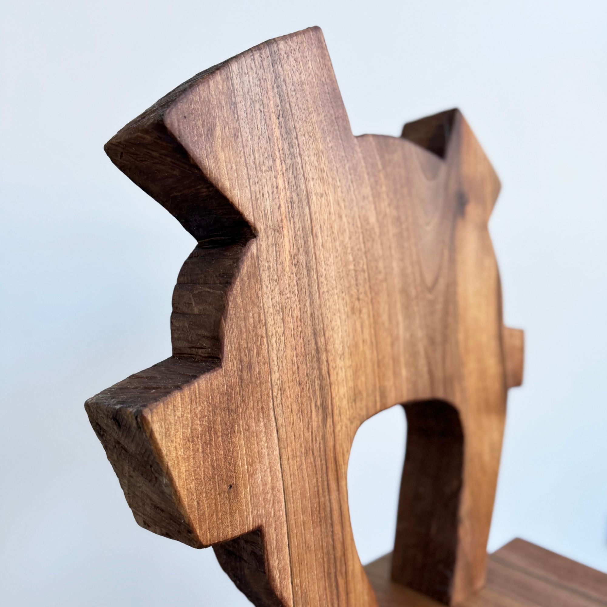 eloi-schultz-la-reine-focus