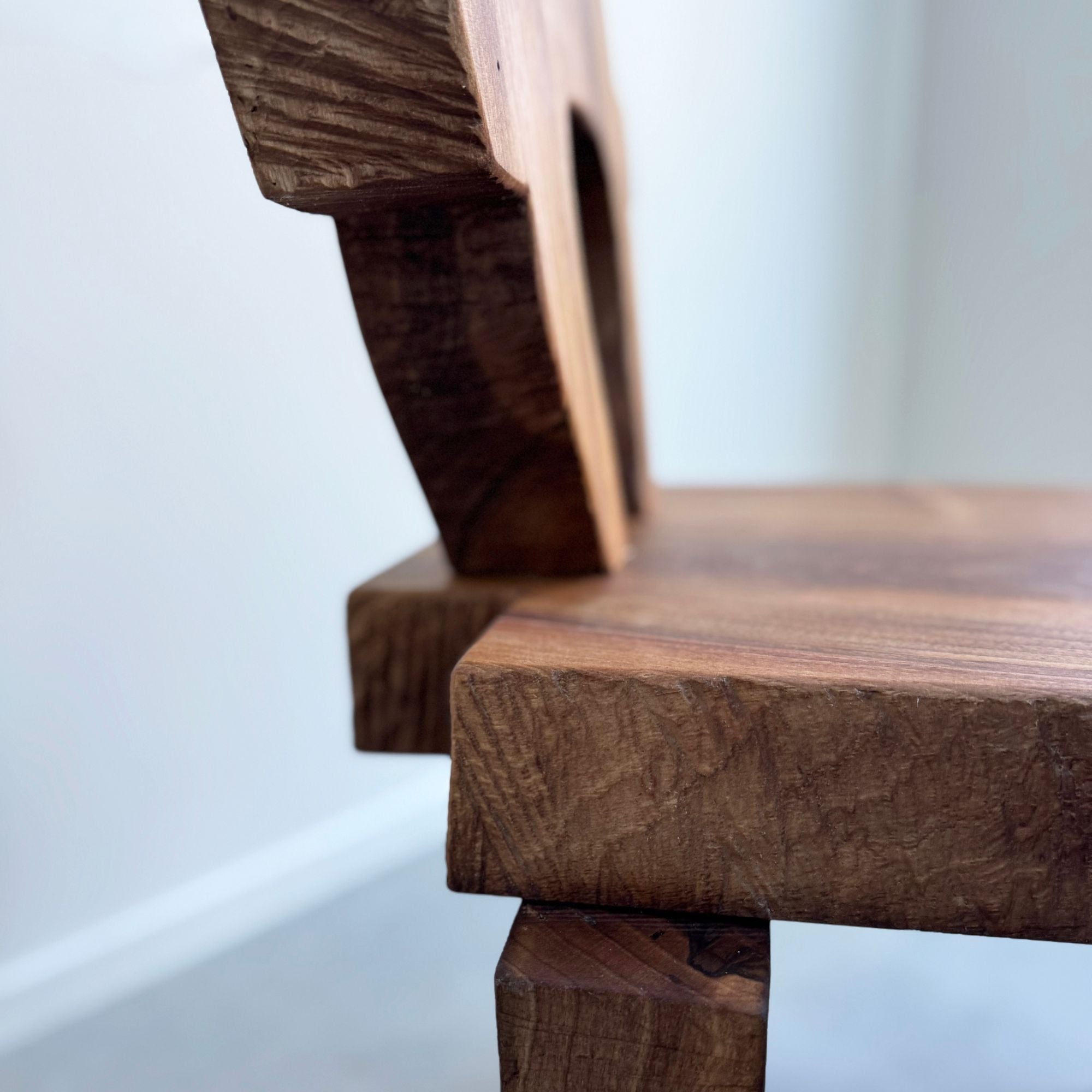 eloi-schultz-la-reine-bois