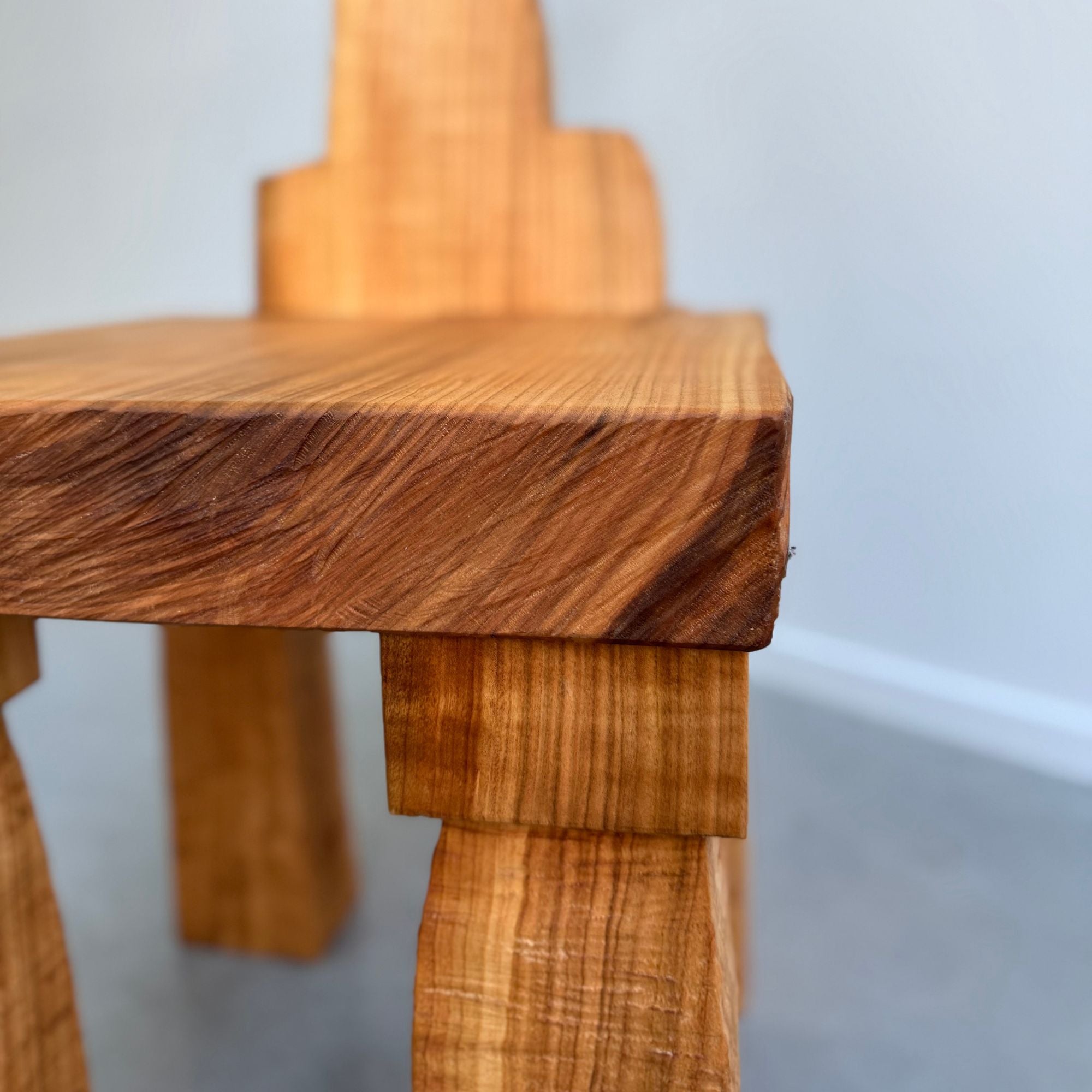 eloi-schultz-le-cheval-bois