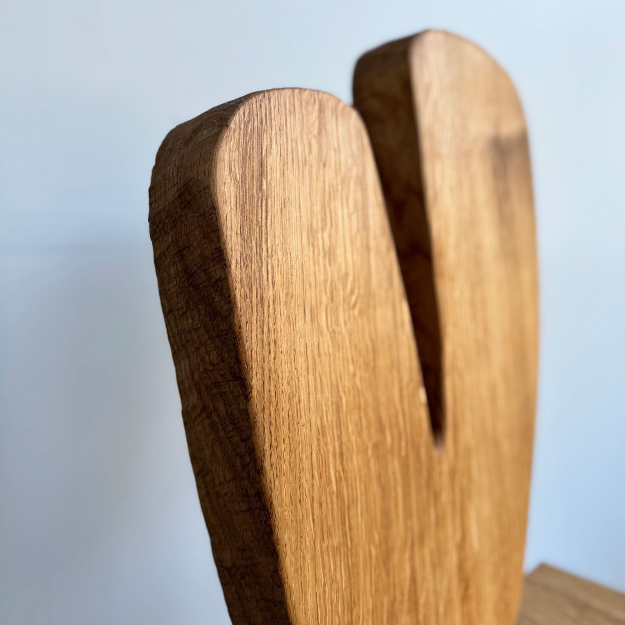 eloi-schultz-le-fou-dossier