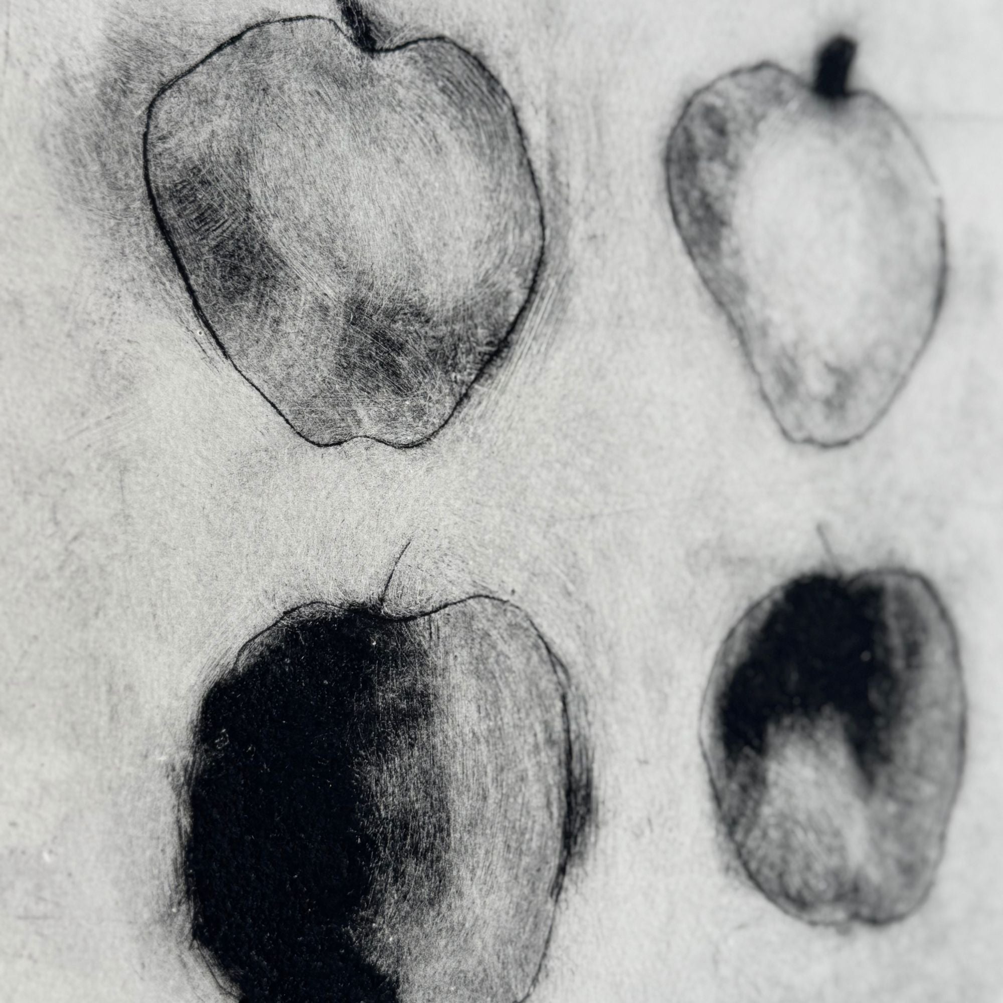 eska-marsh-apples-zoom