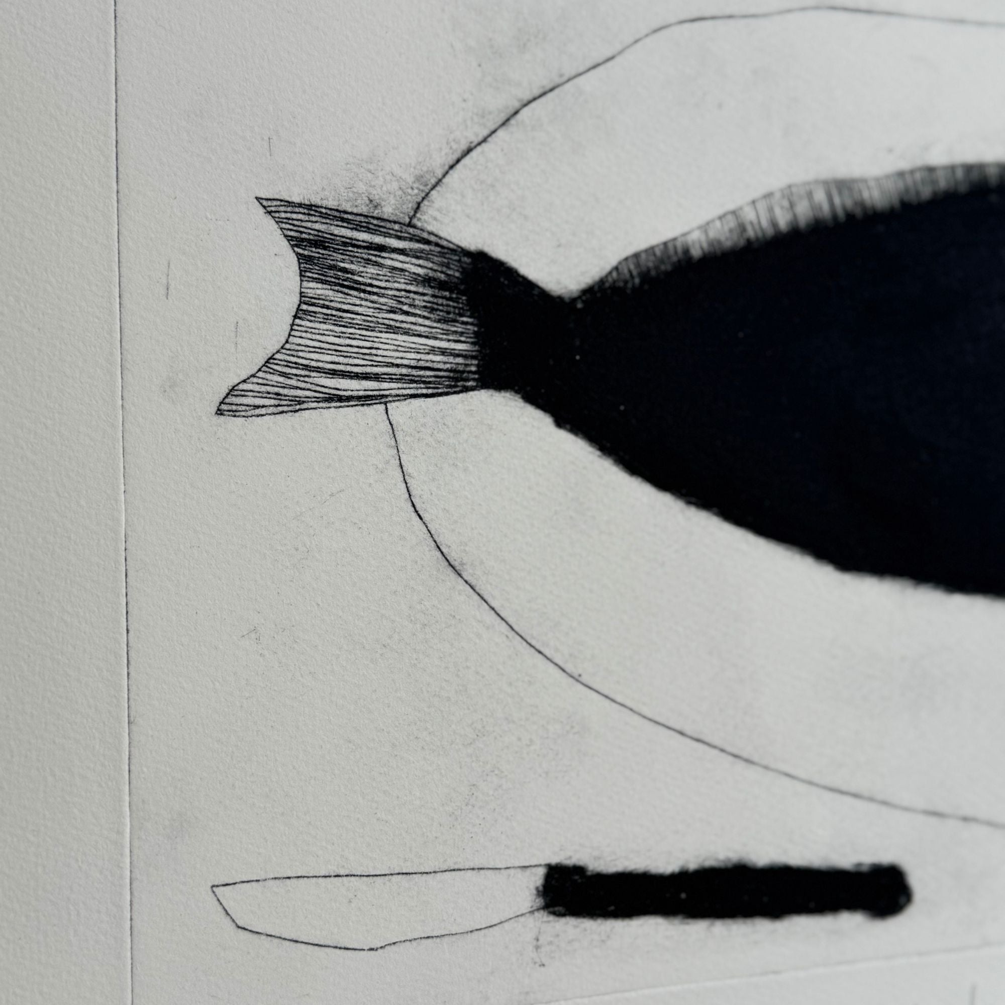 eska-marsh-fish-focus