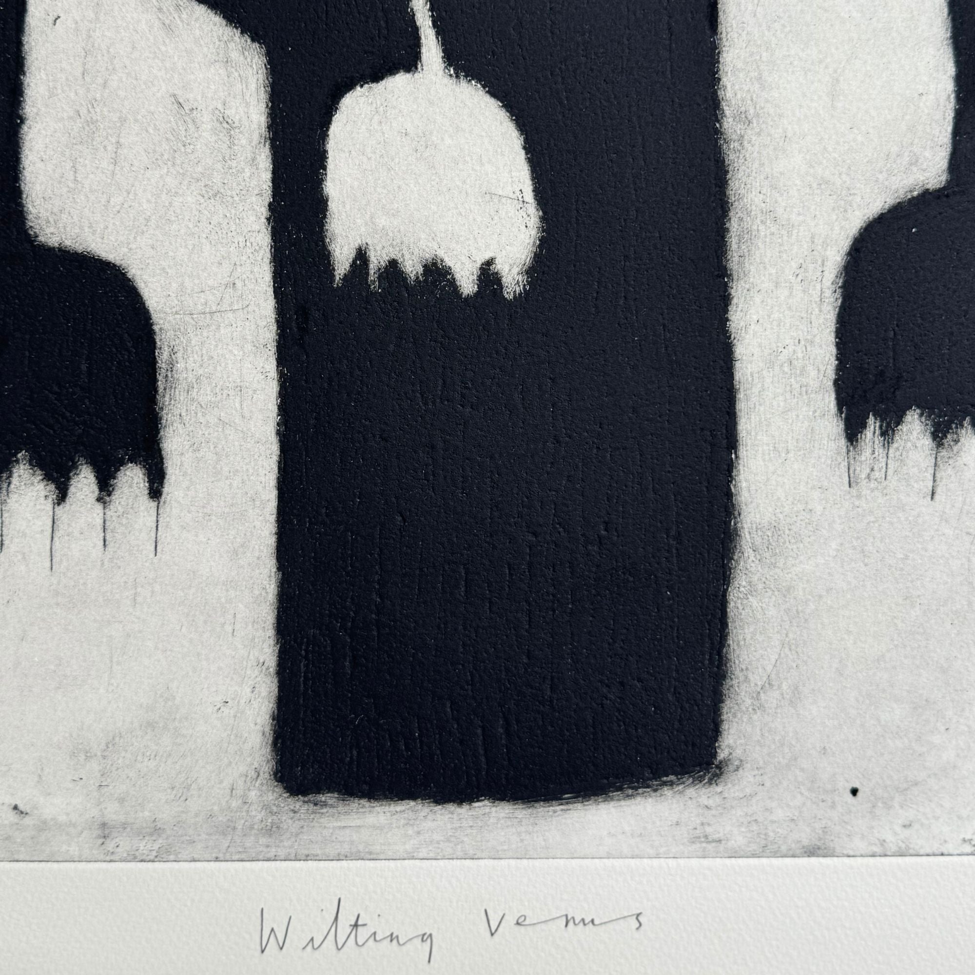 eska-marsh-venus-titre