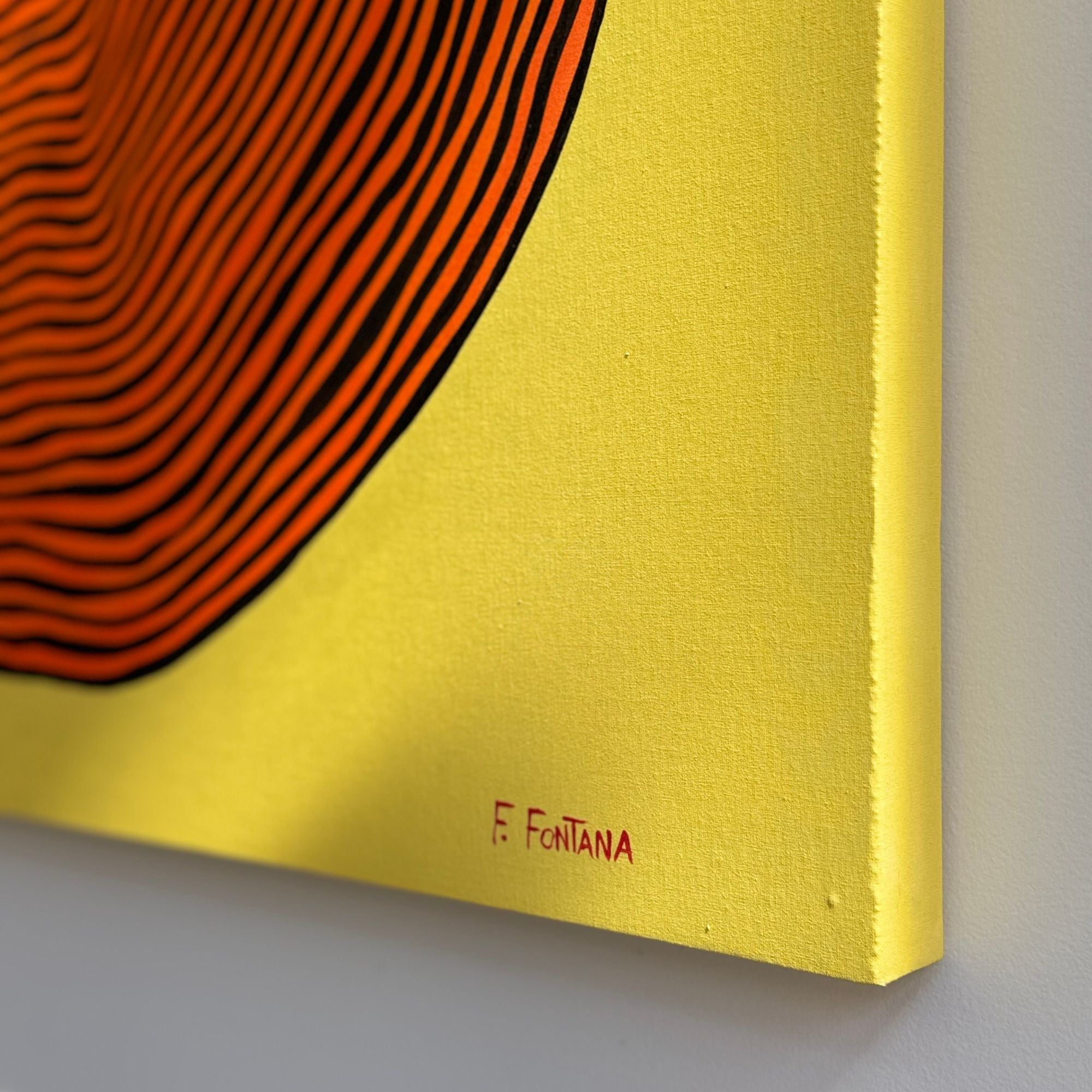 fabio fontana-goslab, peinture haiku9 focus