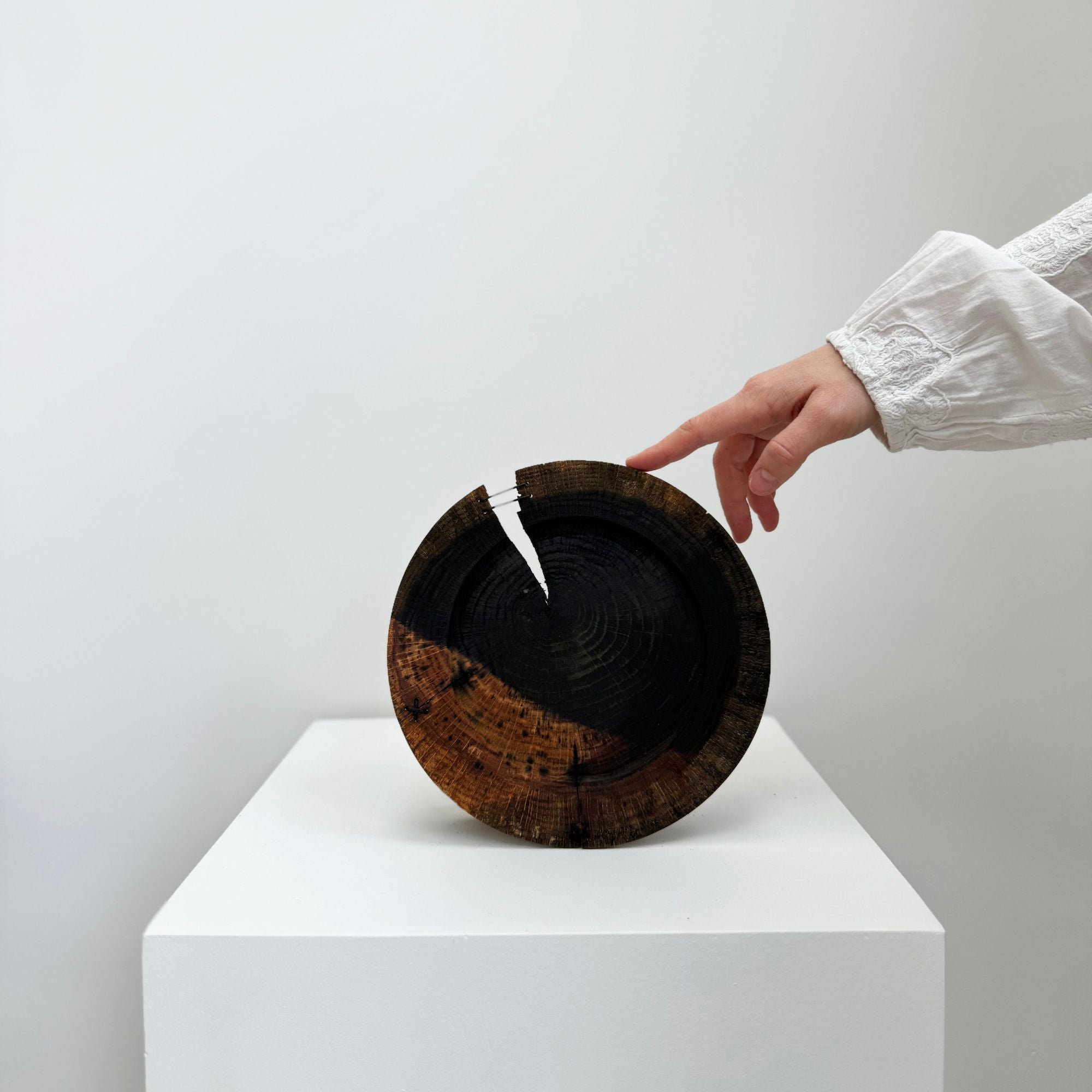 glenn-dane-plates1-main