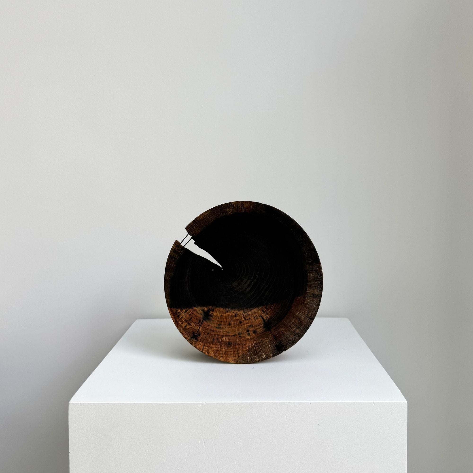 glenn-dane-plates1-entier