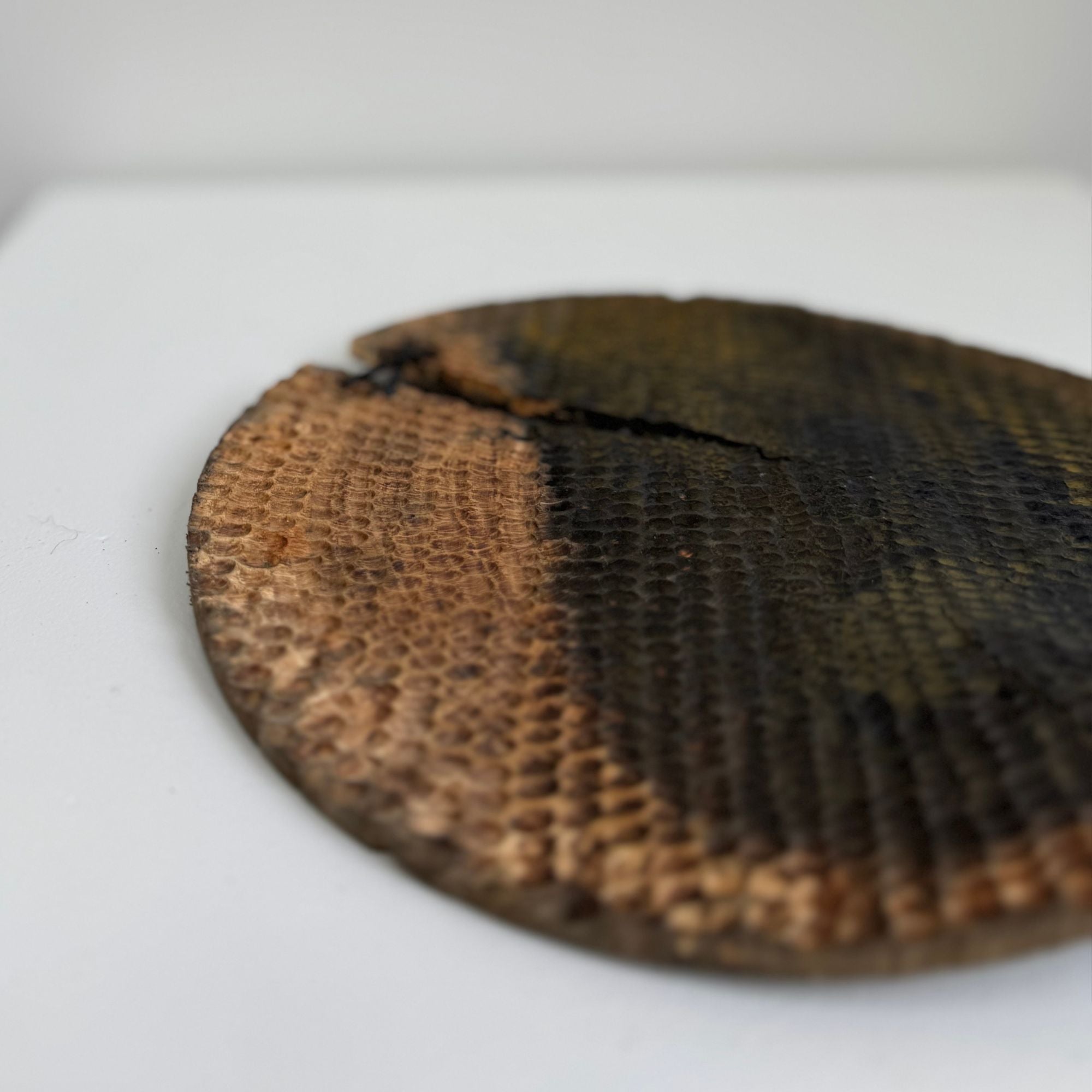 glenn-dane-plates2-abeille