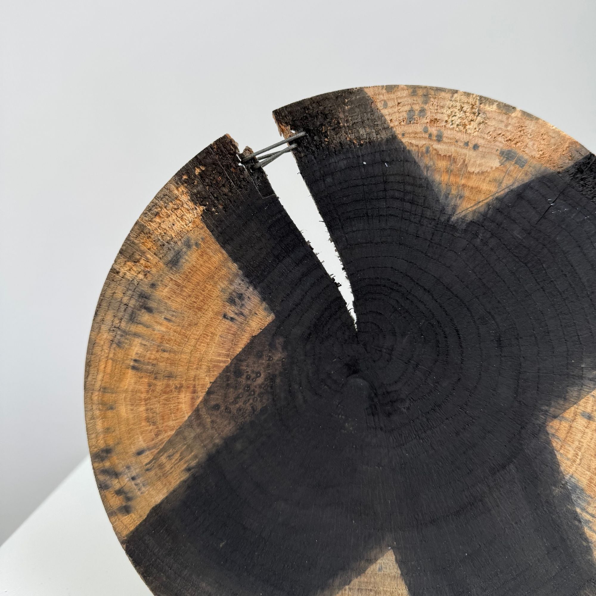 glenn-dane-plates4-croix