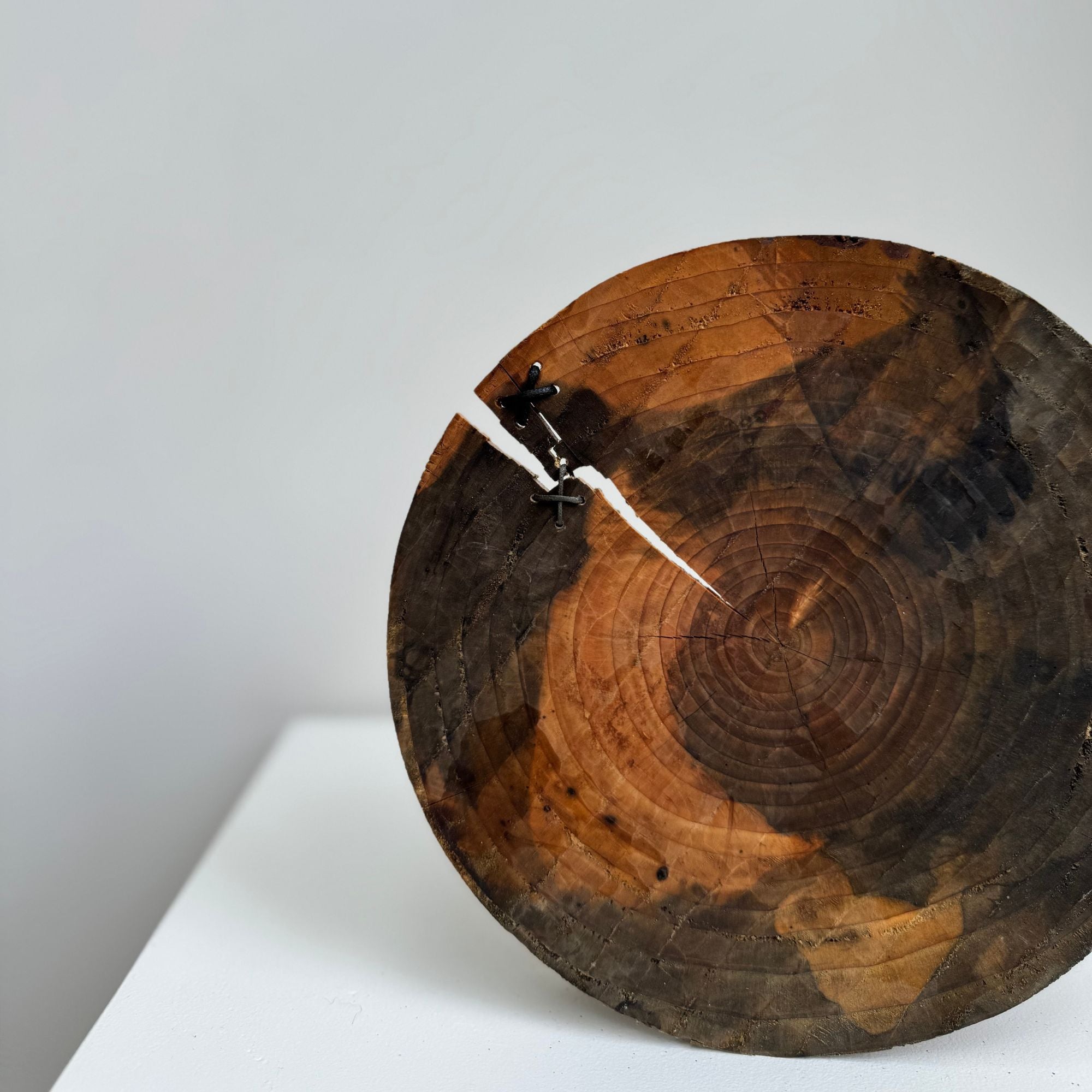 glenn-dane-plates5-zoom