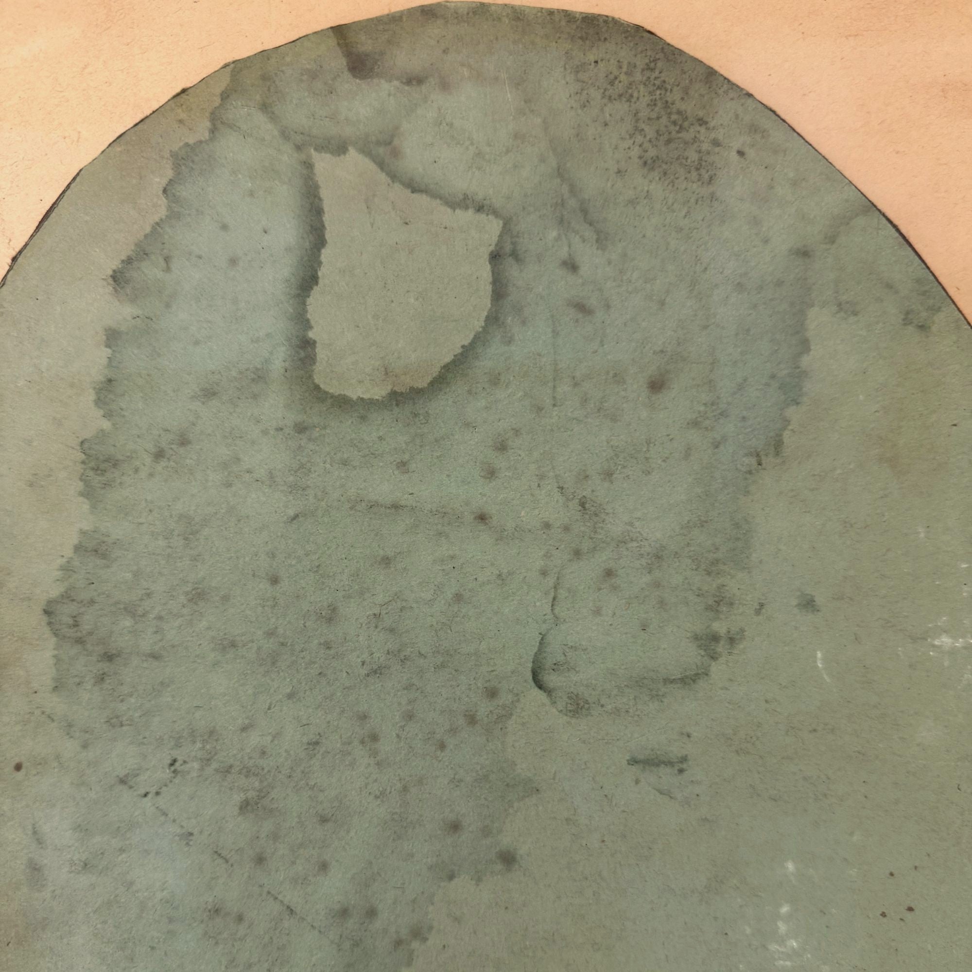 ilse-pierard-CELL4226-zoom