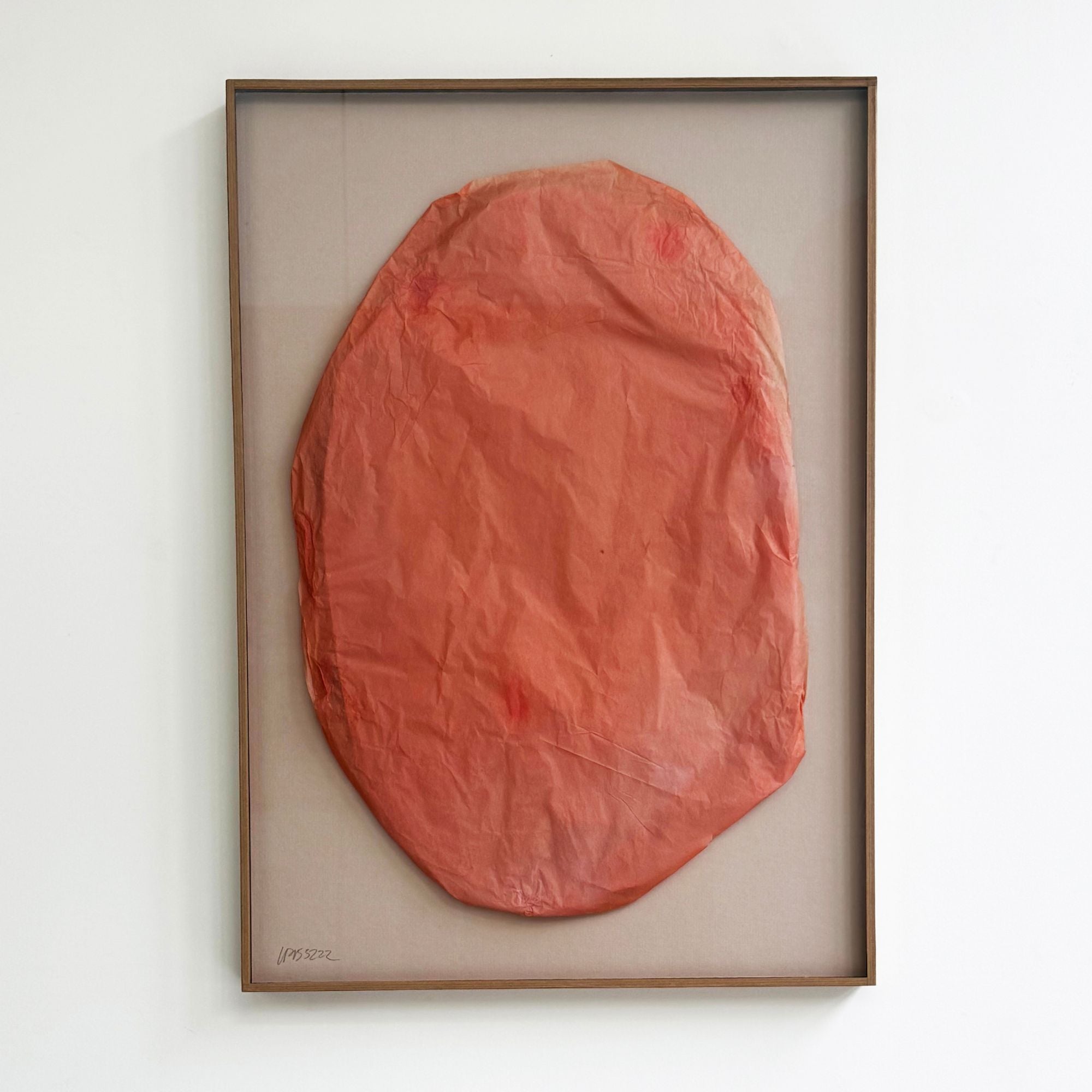 ilse-pierard-rose-all