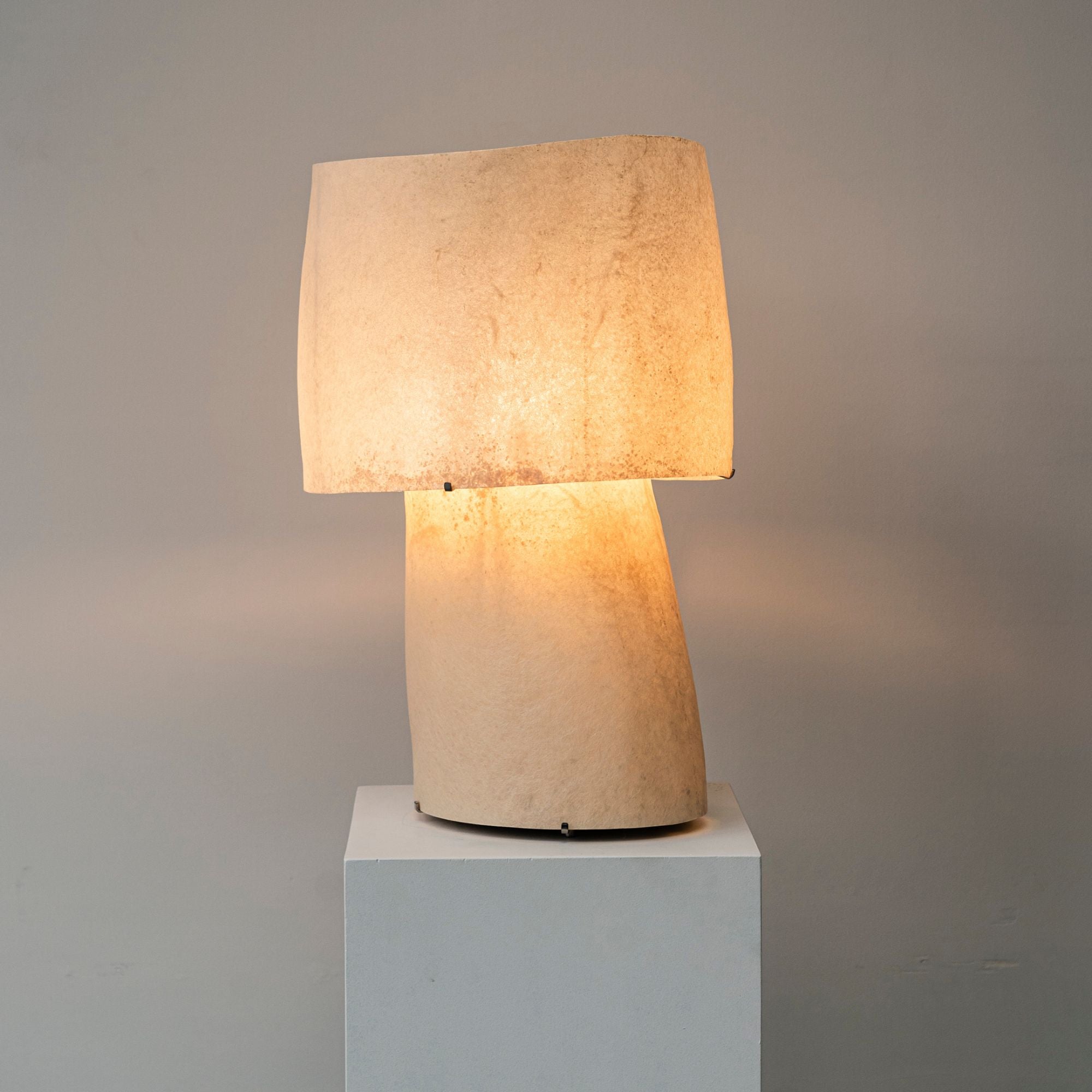 jorge suarez-kilzi tall 1 lampe allumée