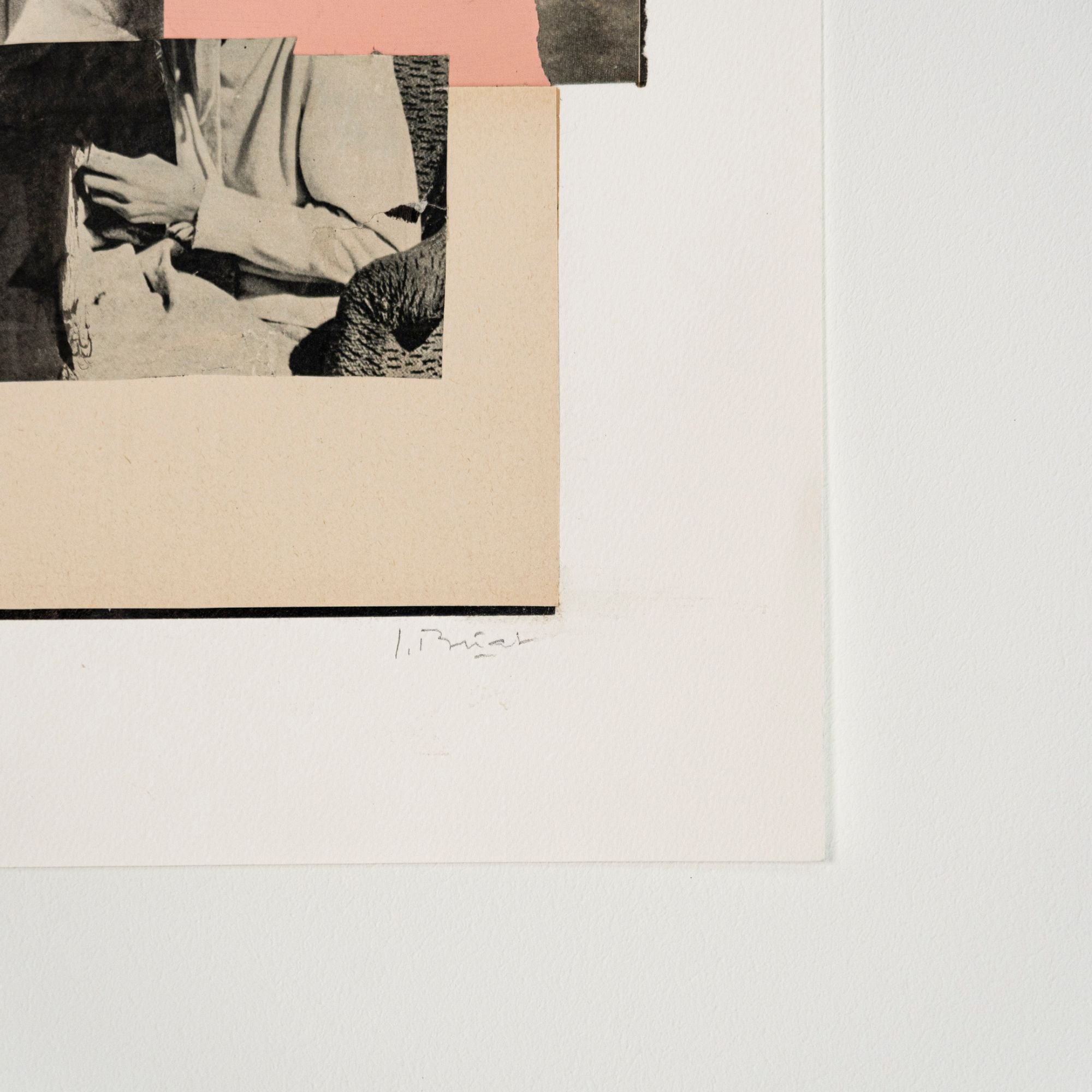 Roommate, collage par Laurence Briat
