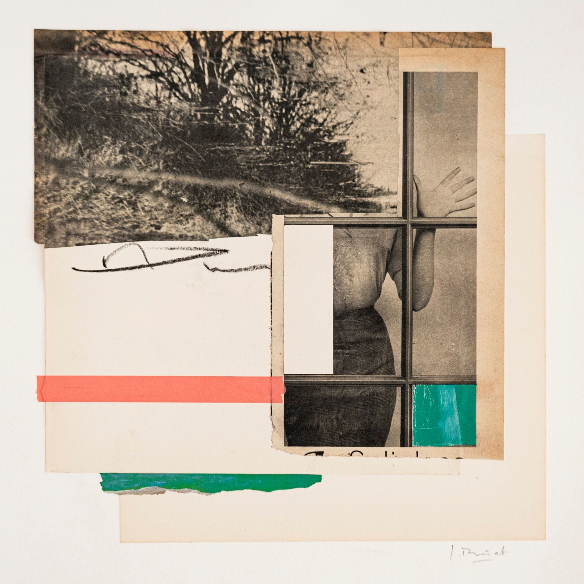 Wilderness, collage par Laurence Briat