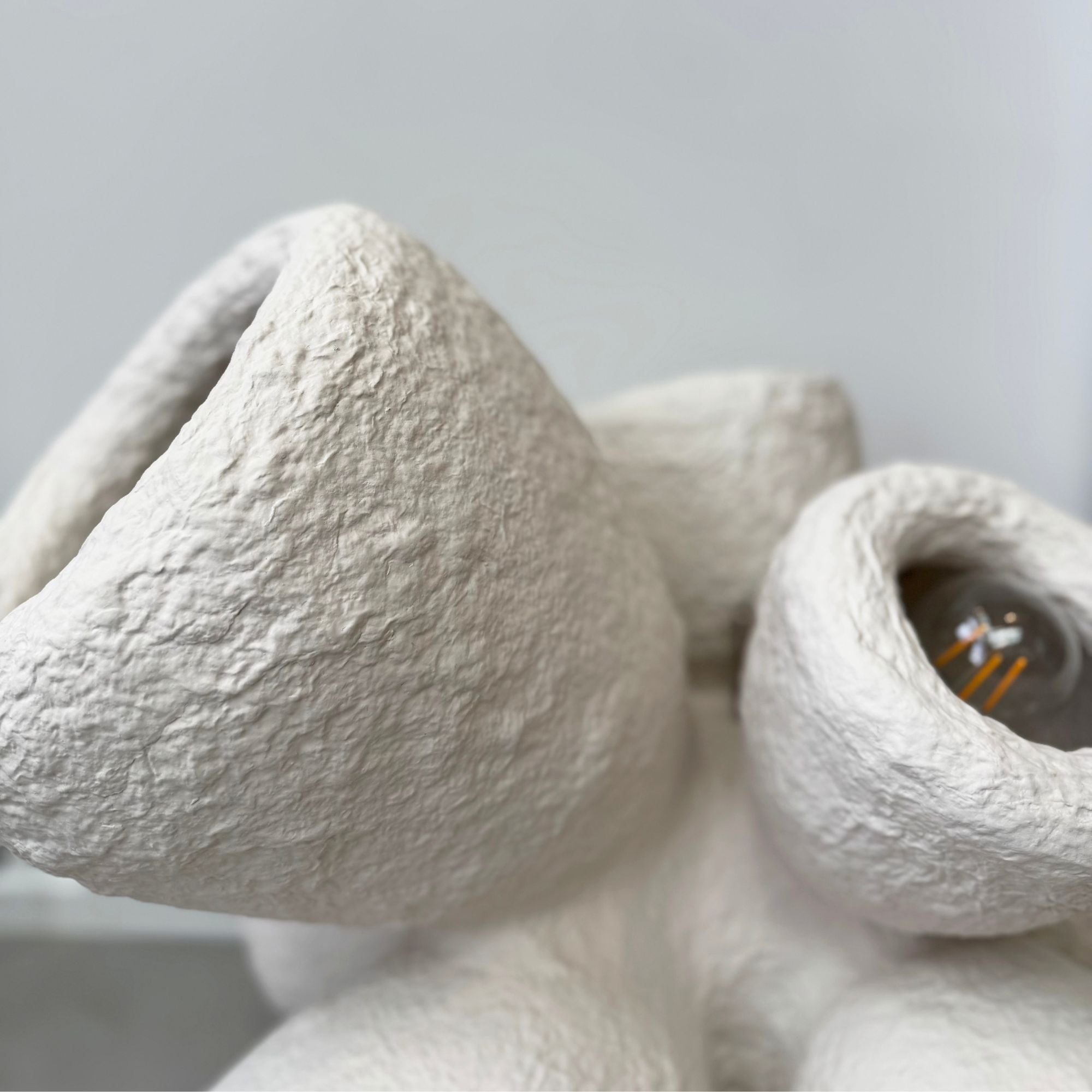 Maria-fiter-lamp-focus