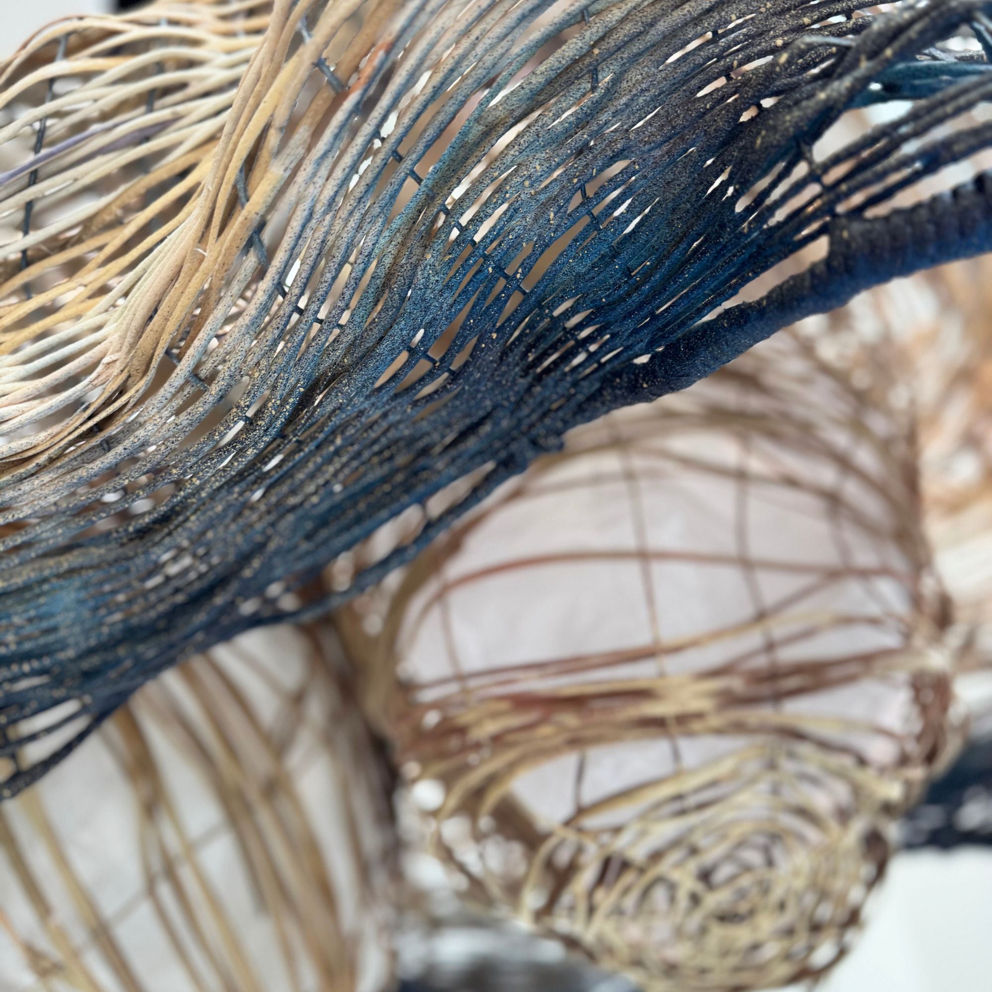 michela-d_angelo-duo-blue