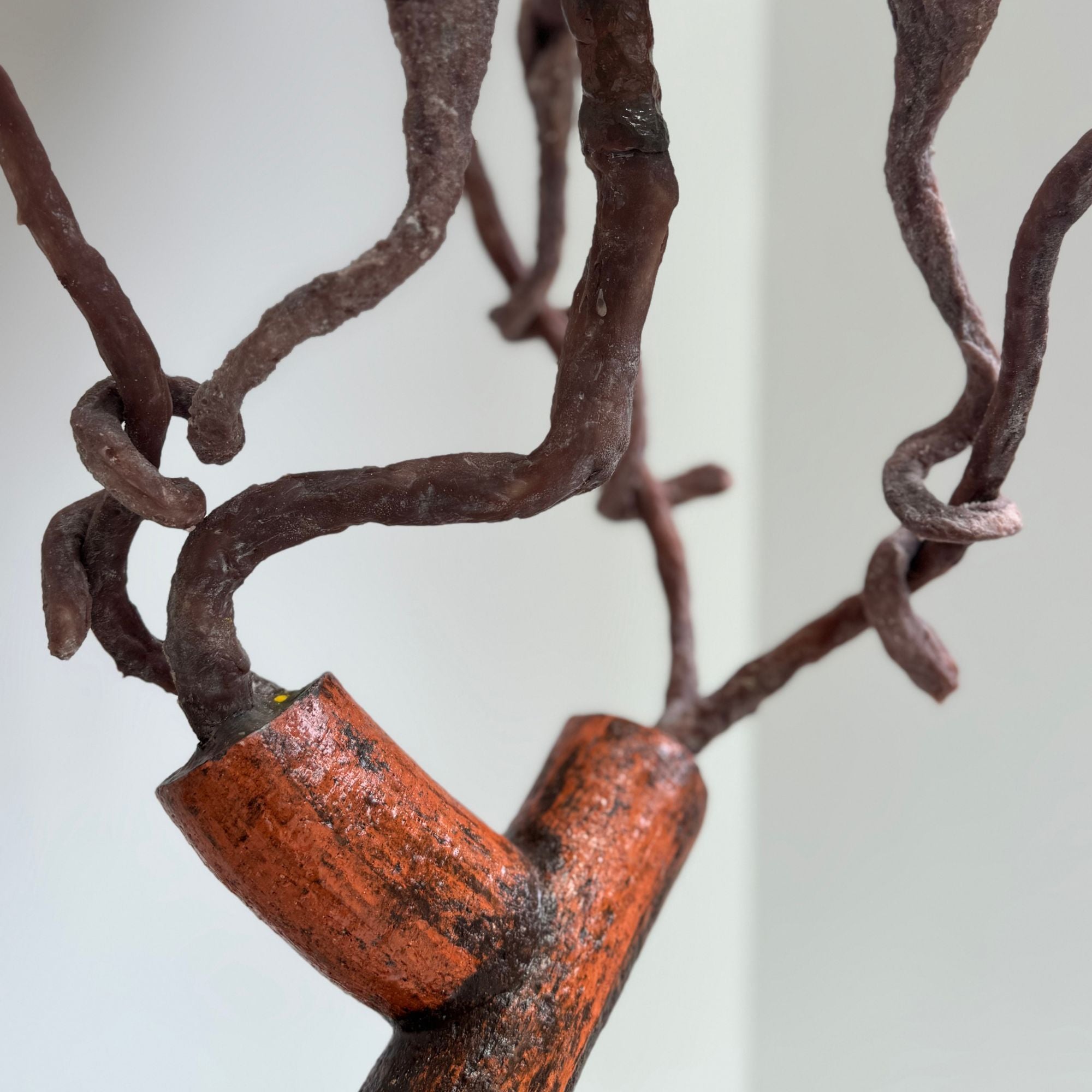 michela-d_angelo-elsa-liens