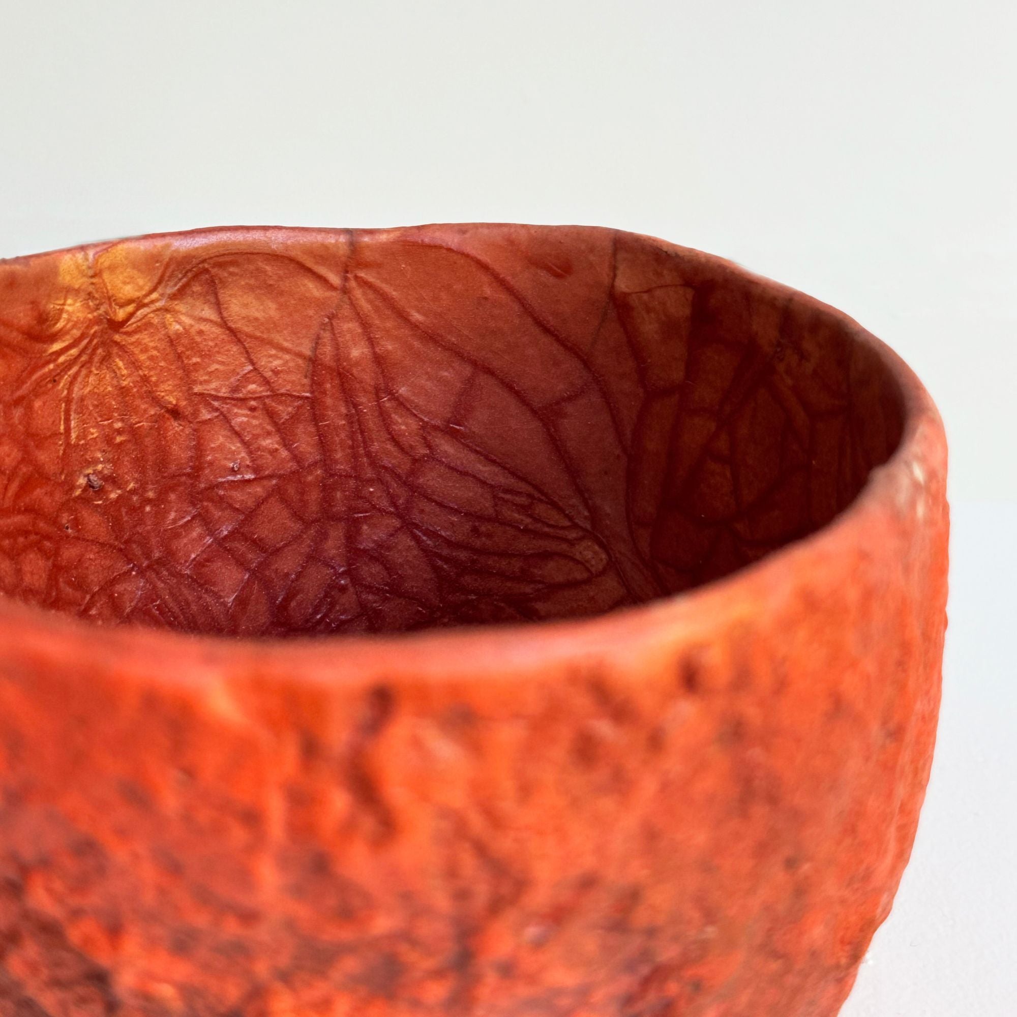 nani-champy-bol10-détails