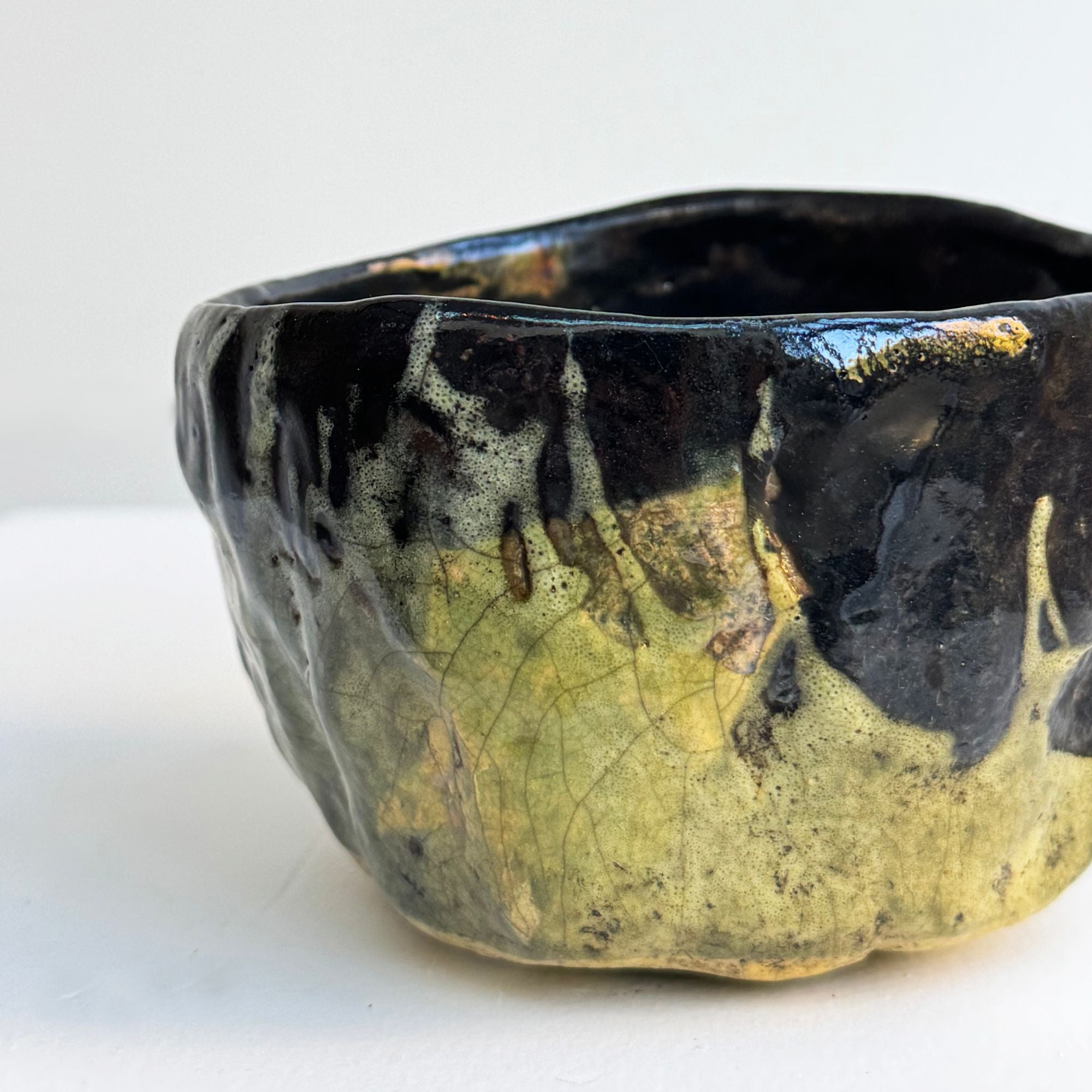 nani-champy-bol12-focus