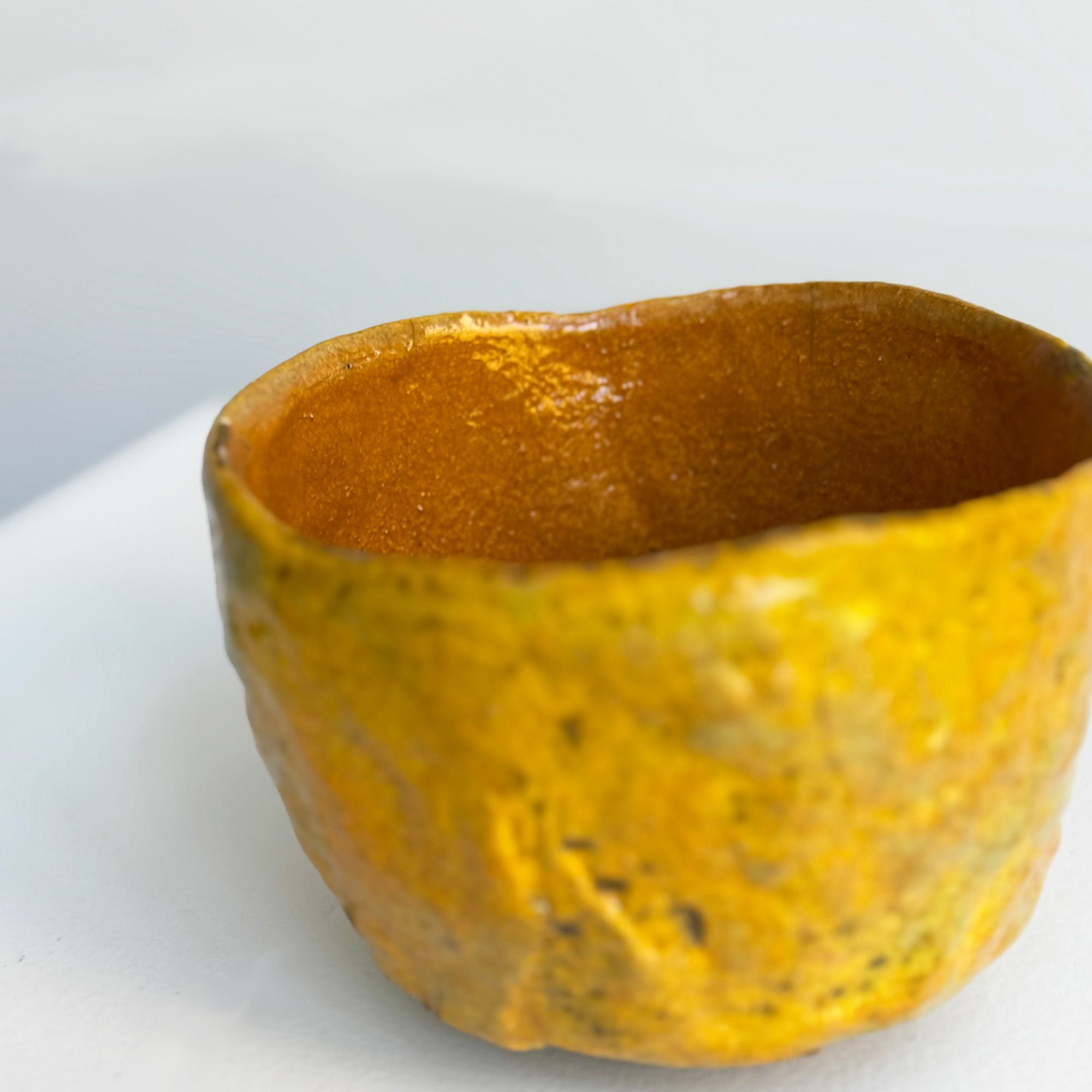 nani-champy-bol2-zoom