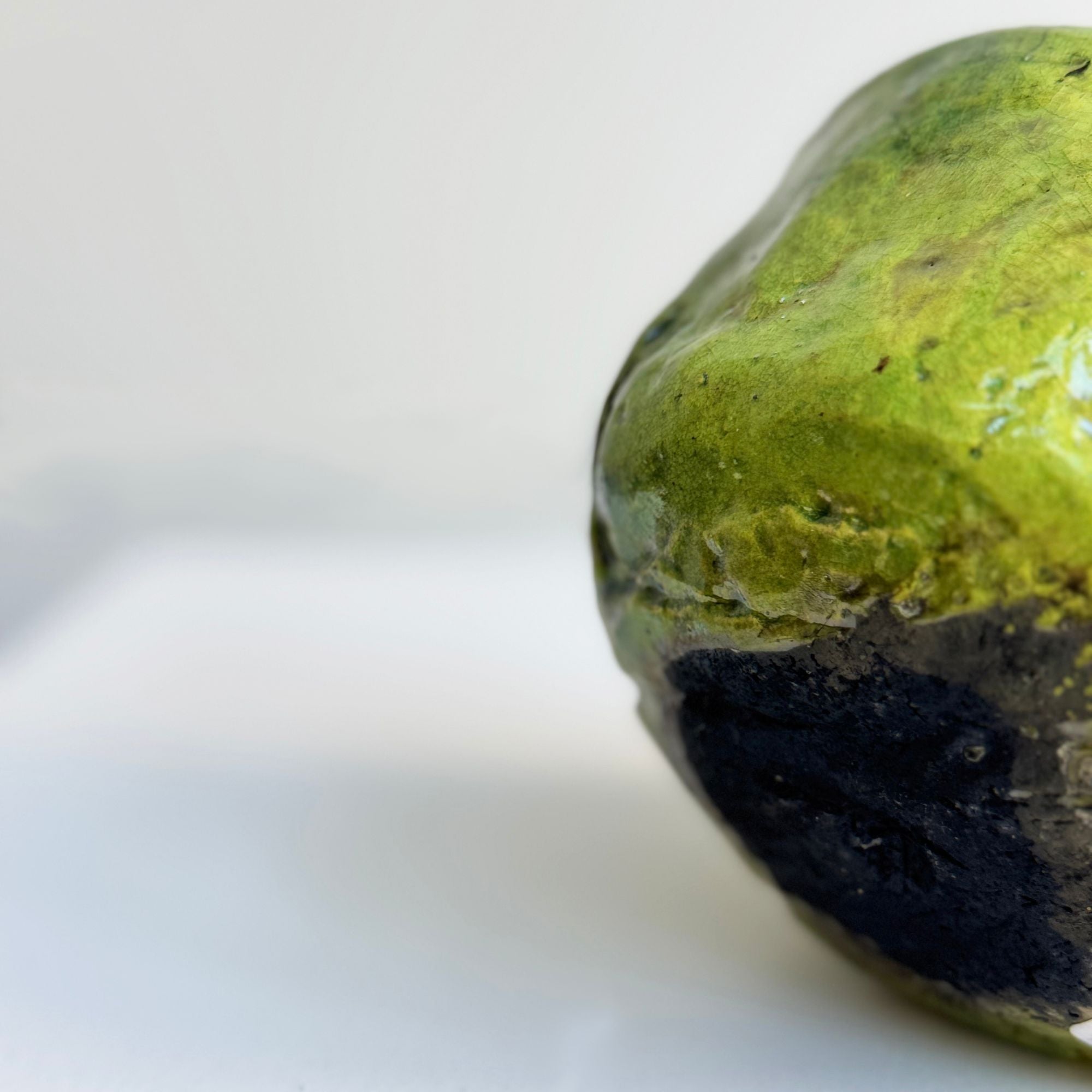 nani-champy-bol5-dessous