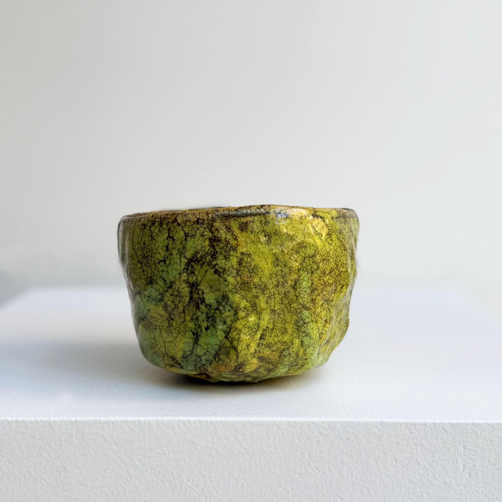 nani-champy-bol6-entier