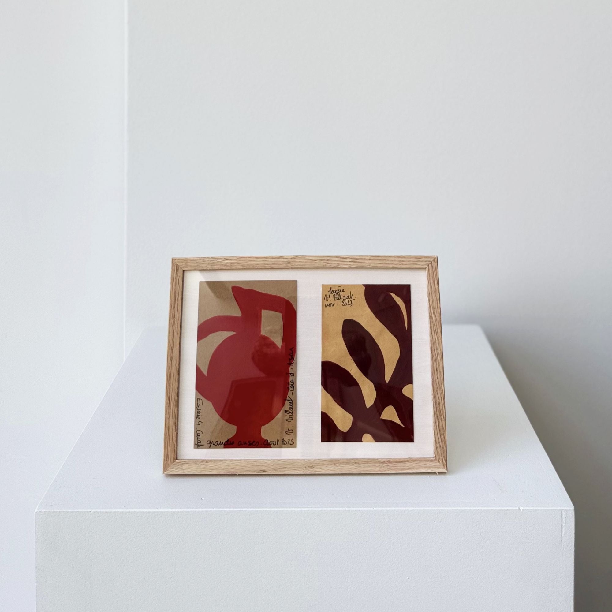 veronique-villaret-fougere-collage