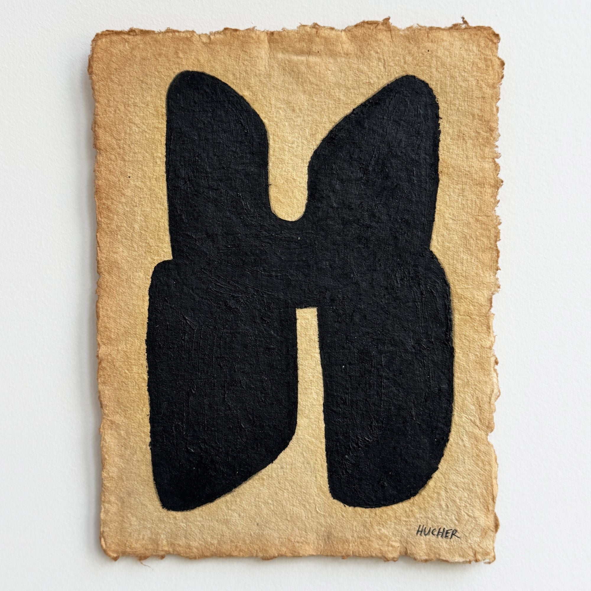 virginie-hucher-ames17-entière