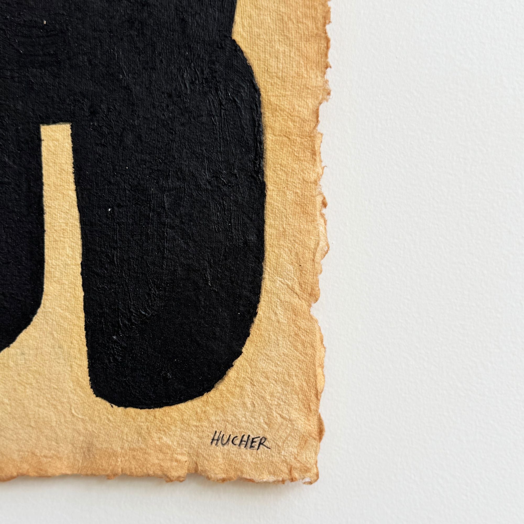 virginie-hucher-ames17-signature