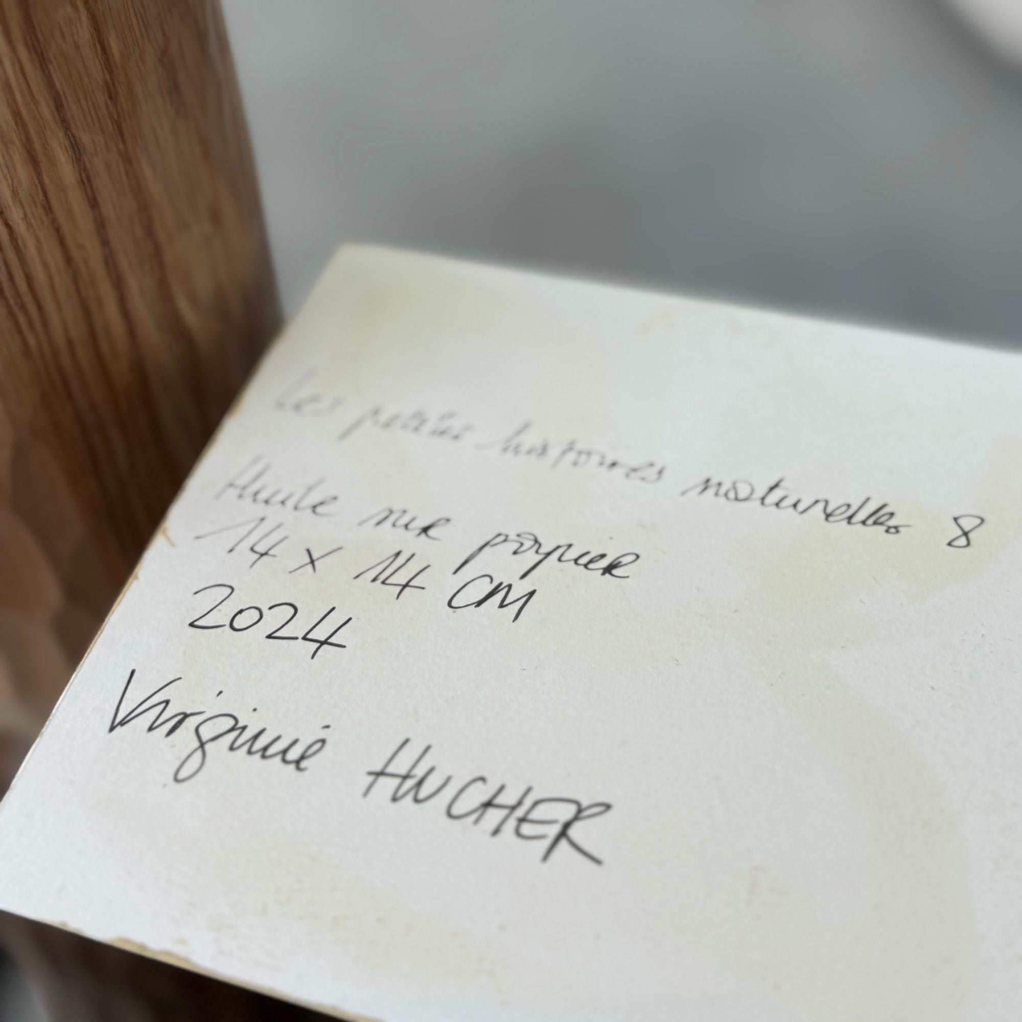 virginie-hucher-petites-histoires-8-signature