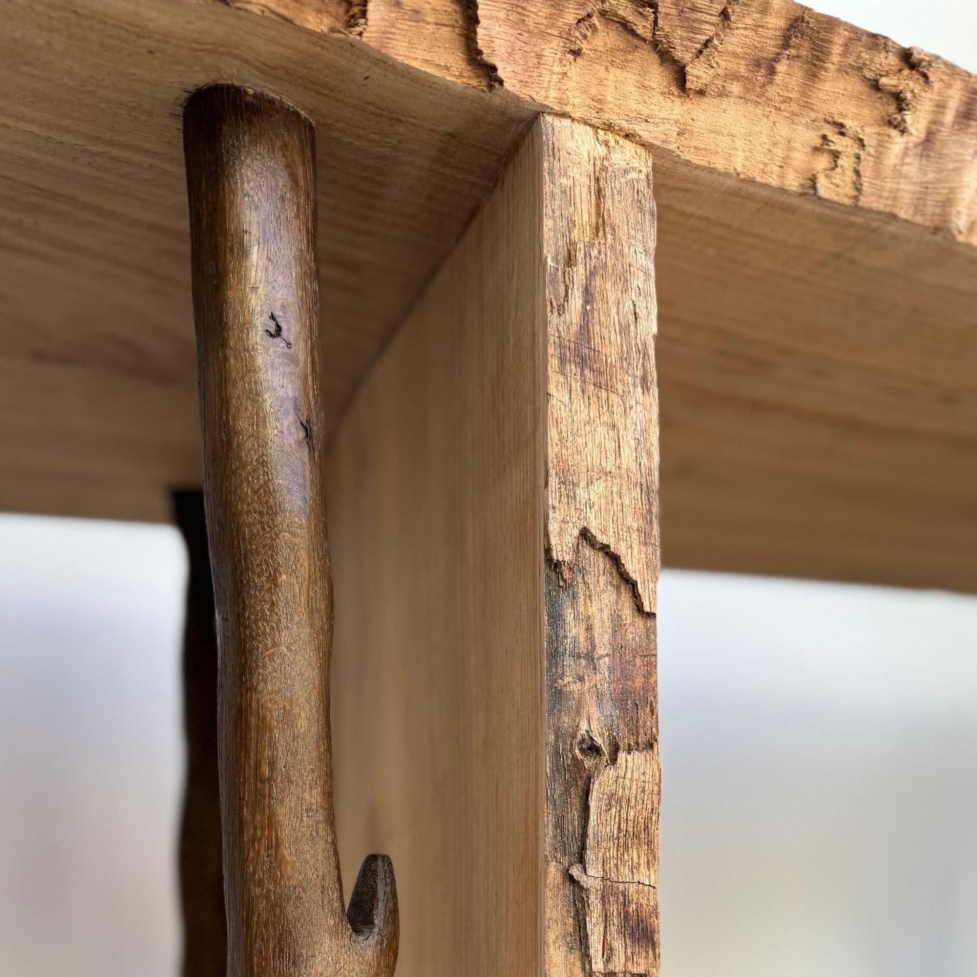 willem-van-hooff-cabinet-focus