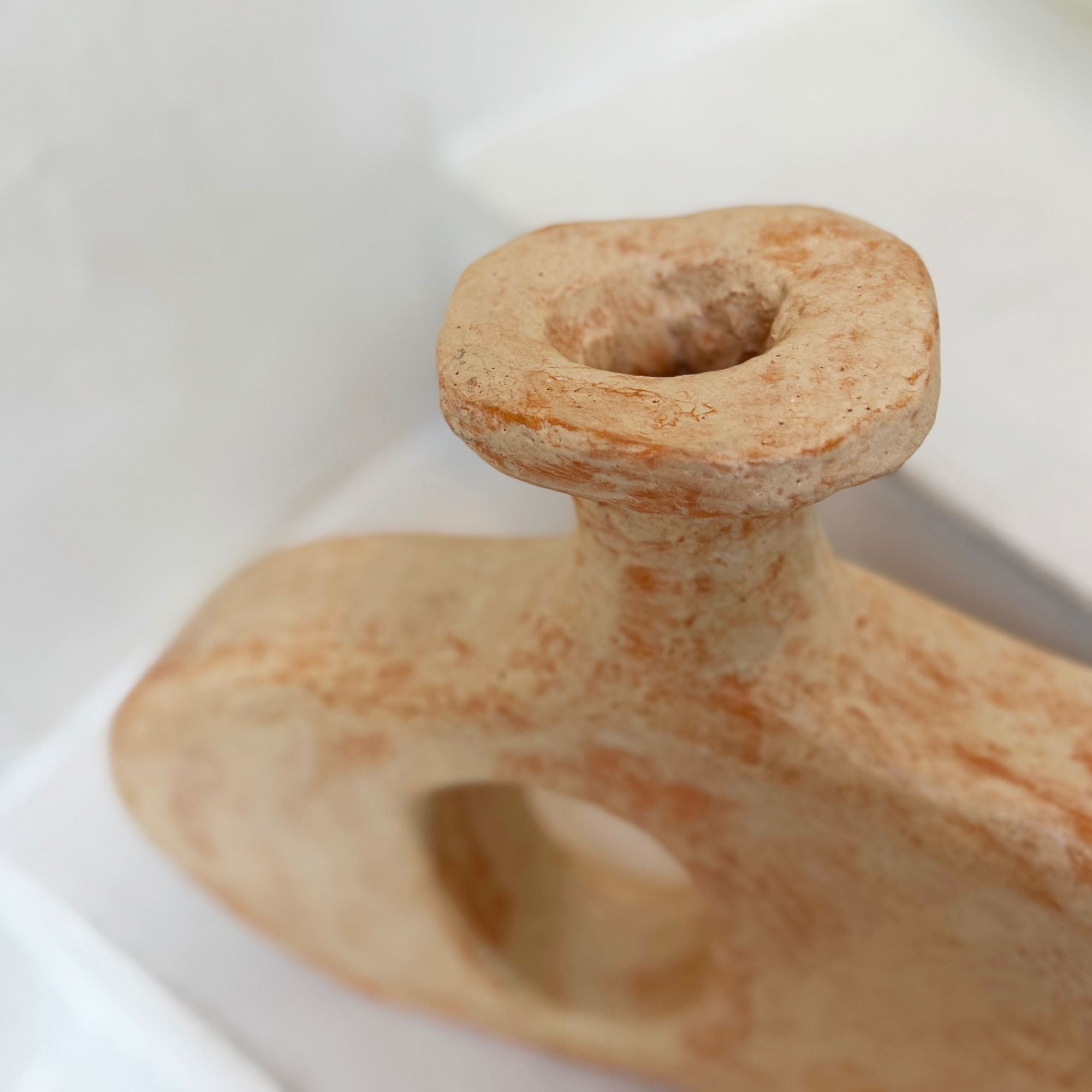 willem-van-hooff-small7-plongée