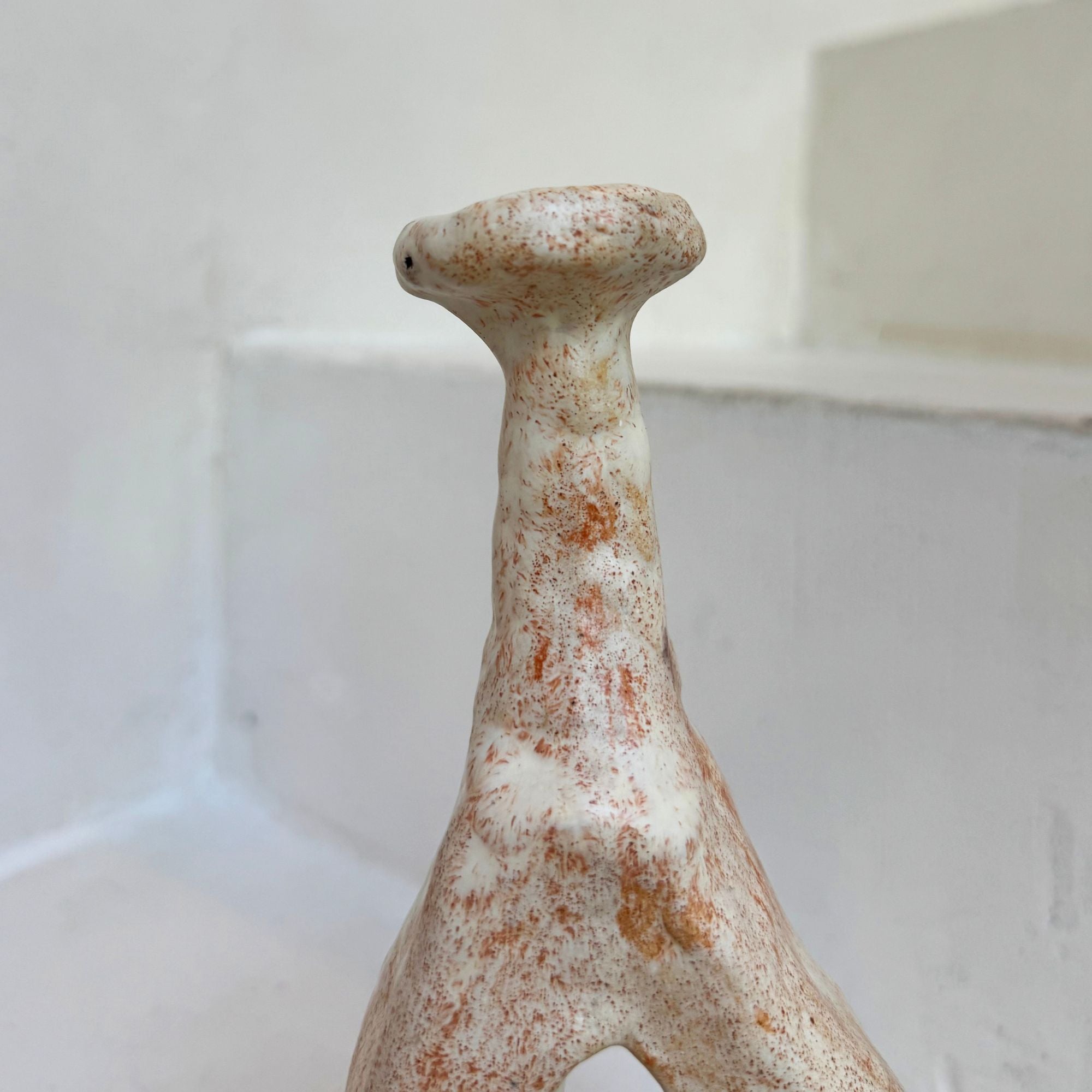 willem-van-hooff-tiny14-col