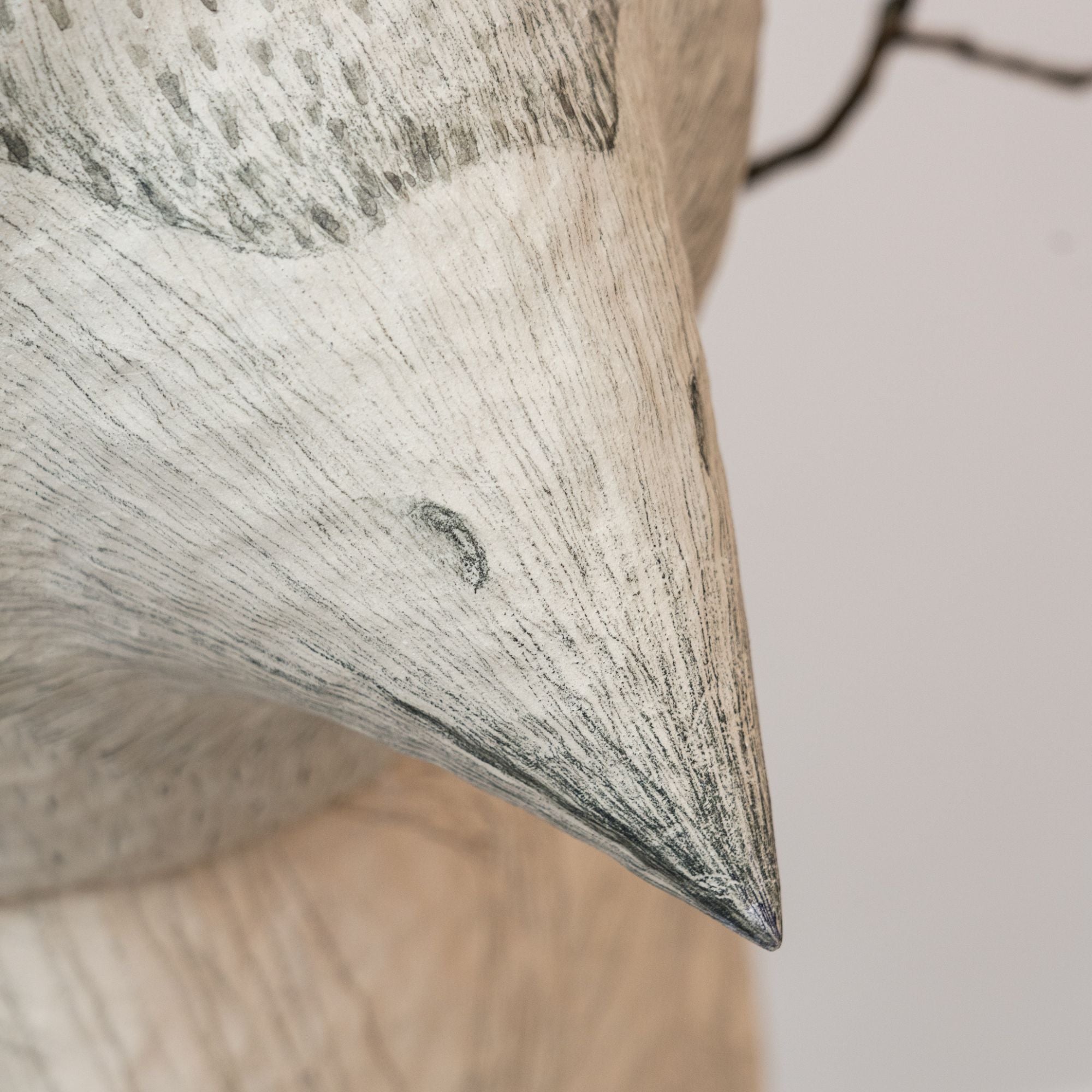 Homme-Oiseau